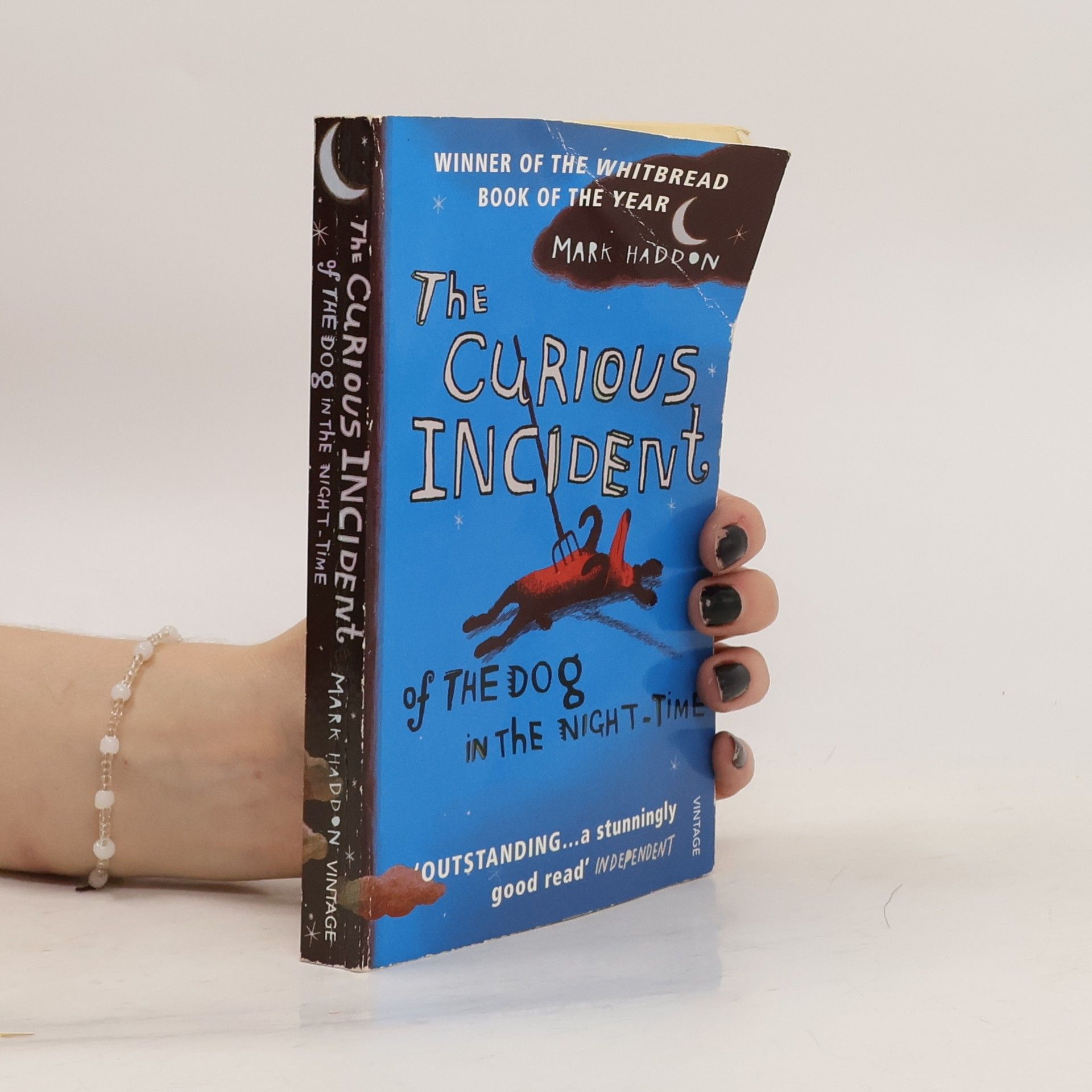 Mark Haddon The Curious Incident of The Dog in The Night-Time
