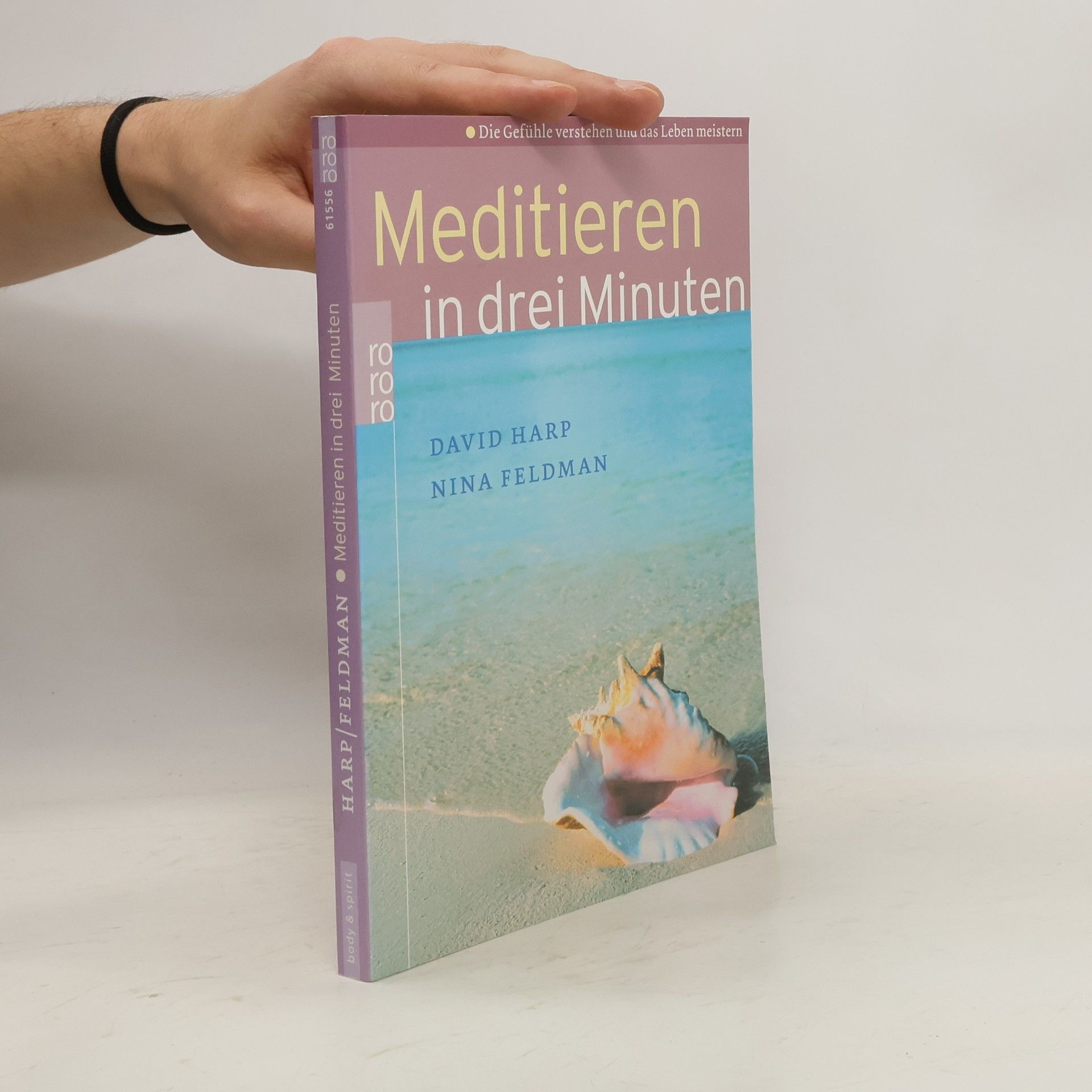 David Harp Meditieren in drei Minuten