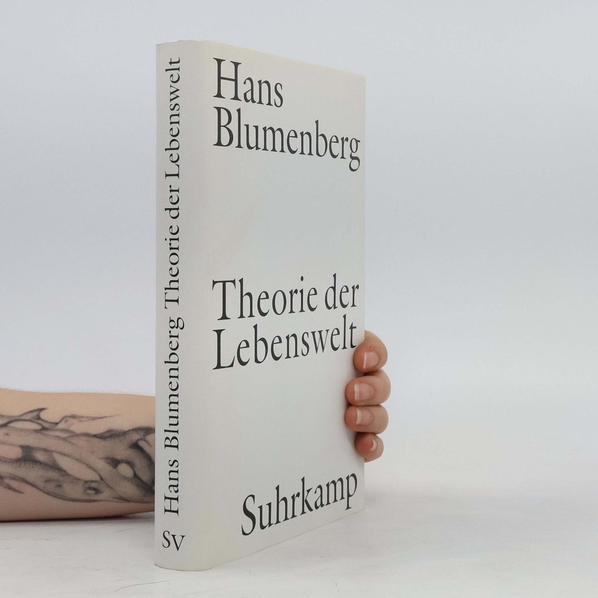 Hans Blumenberg Theorie der Lebenswelt