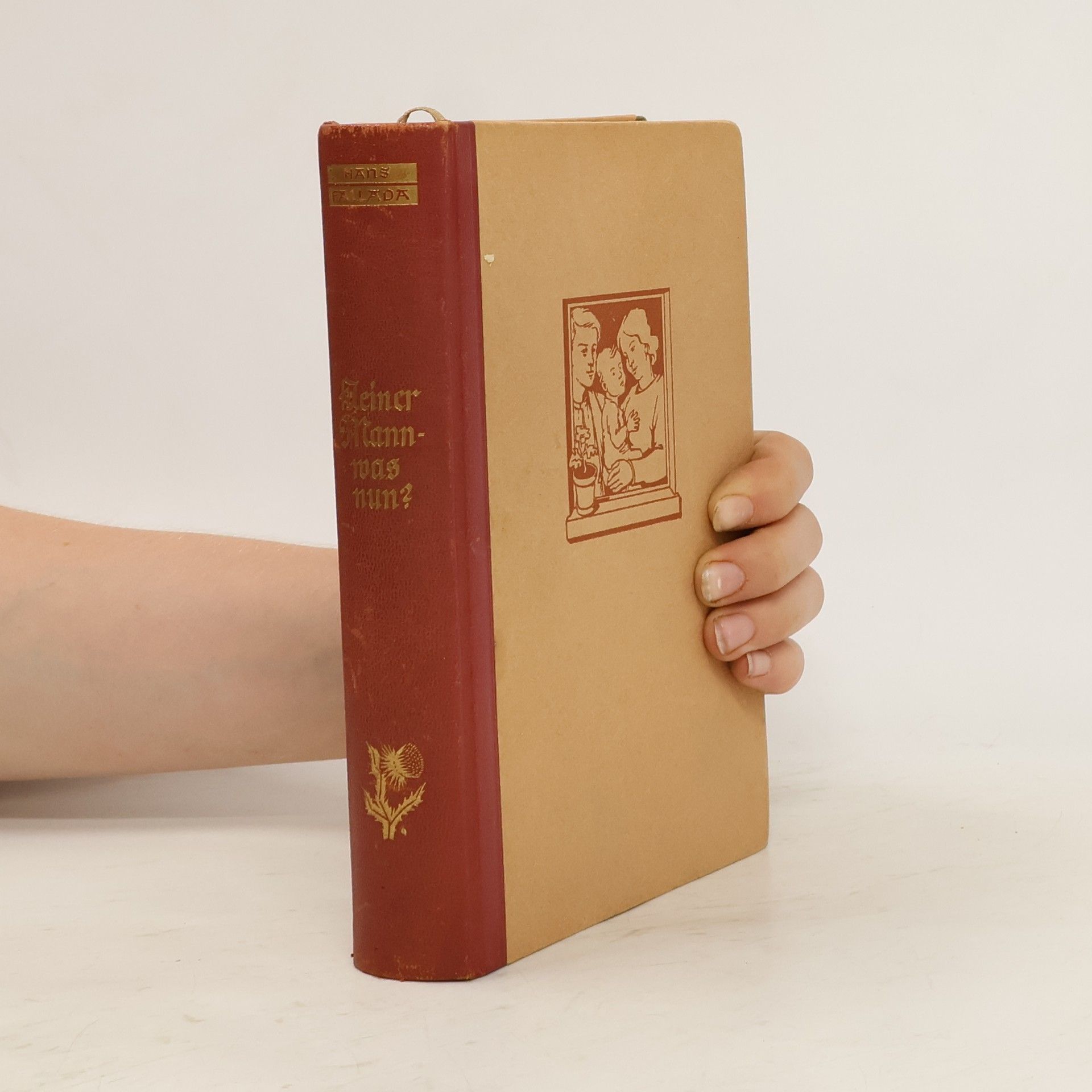 Hans Fallada Kleiner Mann-was nun?