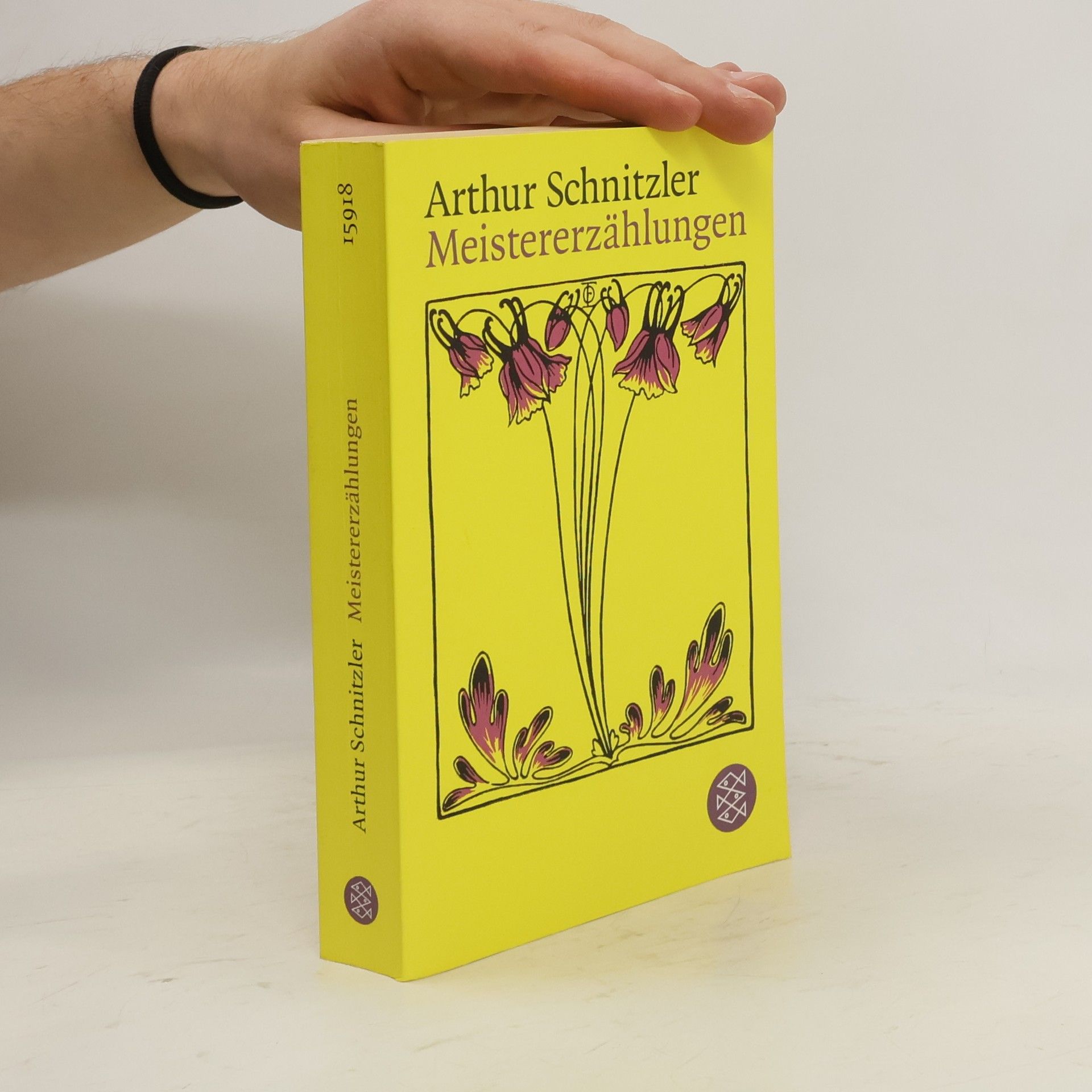 Arthur Schnitzler Meistererzählungen