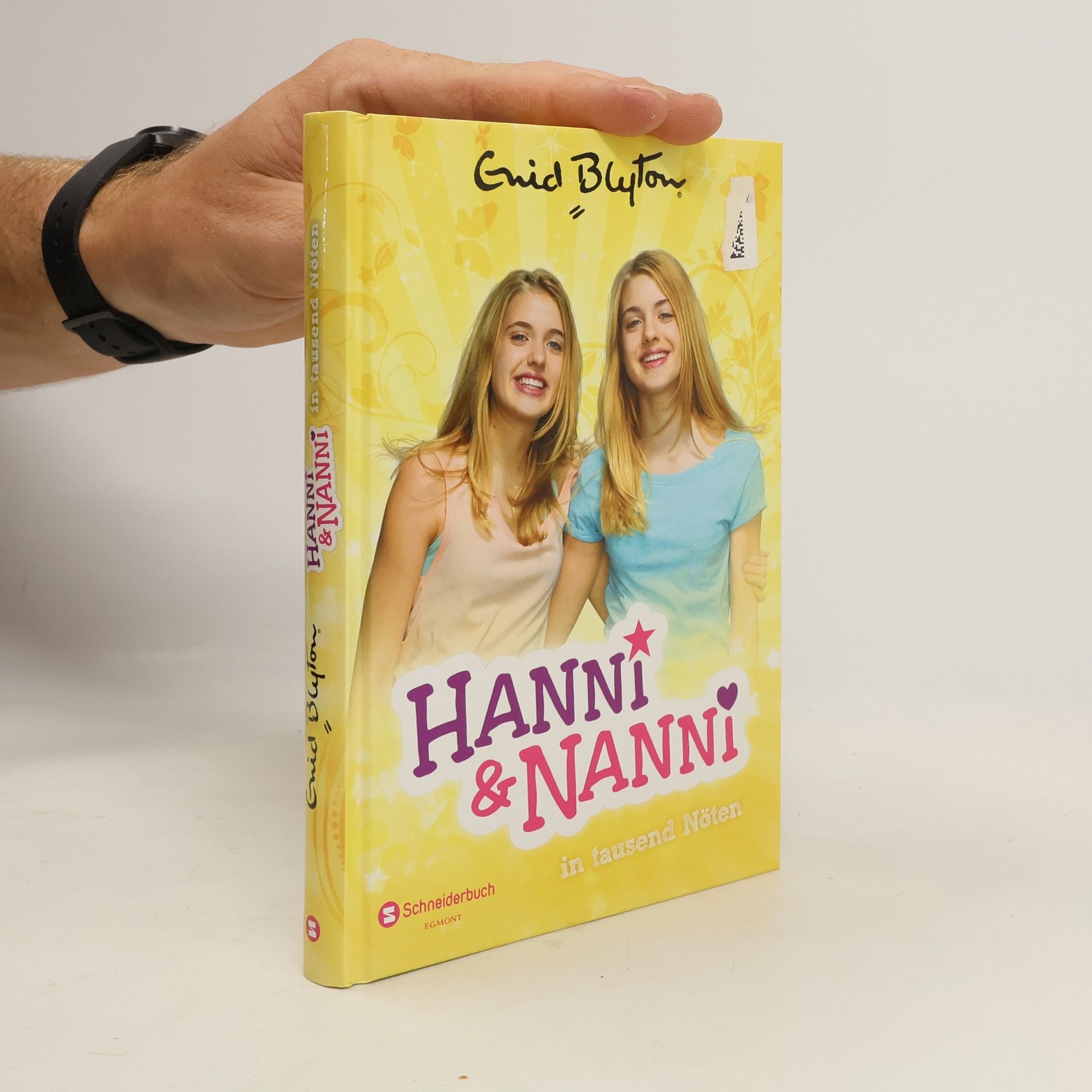 Enid Blyton Hanni & Nanni in tausend Nöten. Band 08.