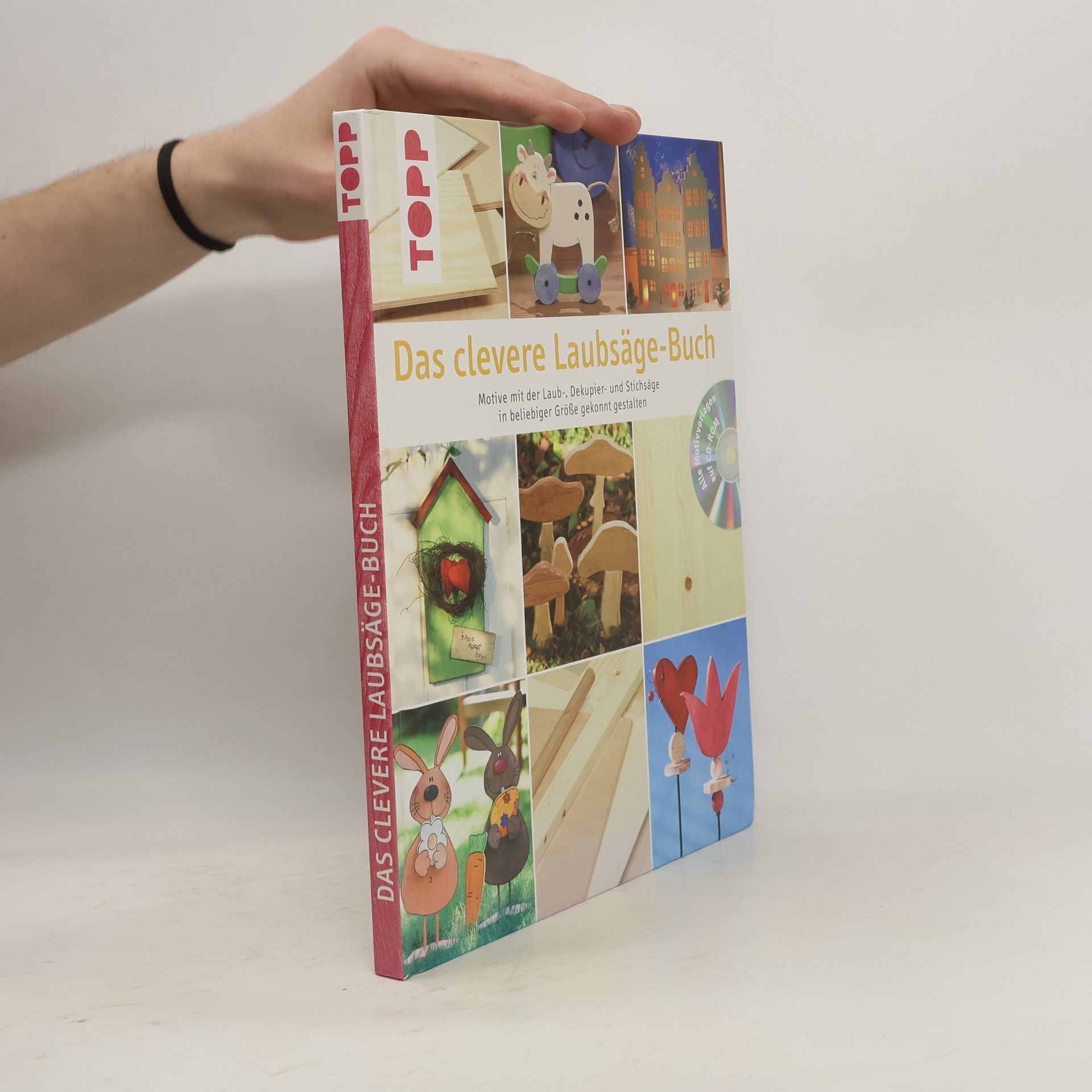 kolektiv Das clevere Laubsäge-Buch