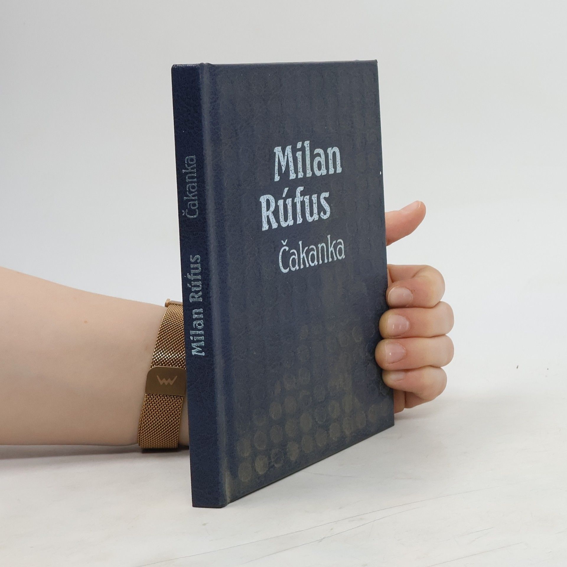 Milan Rúfus Čakanka