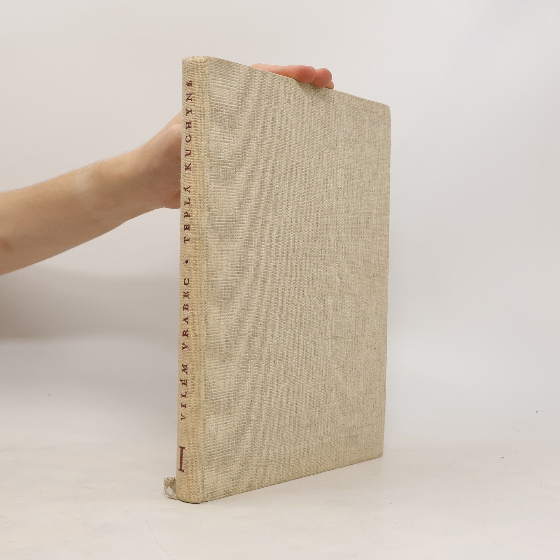 Vilém Vrabec Teplá kuchyně I.