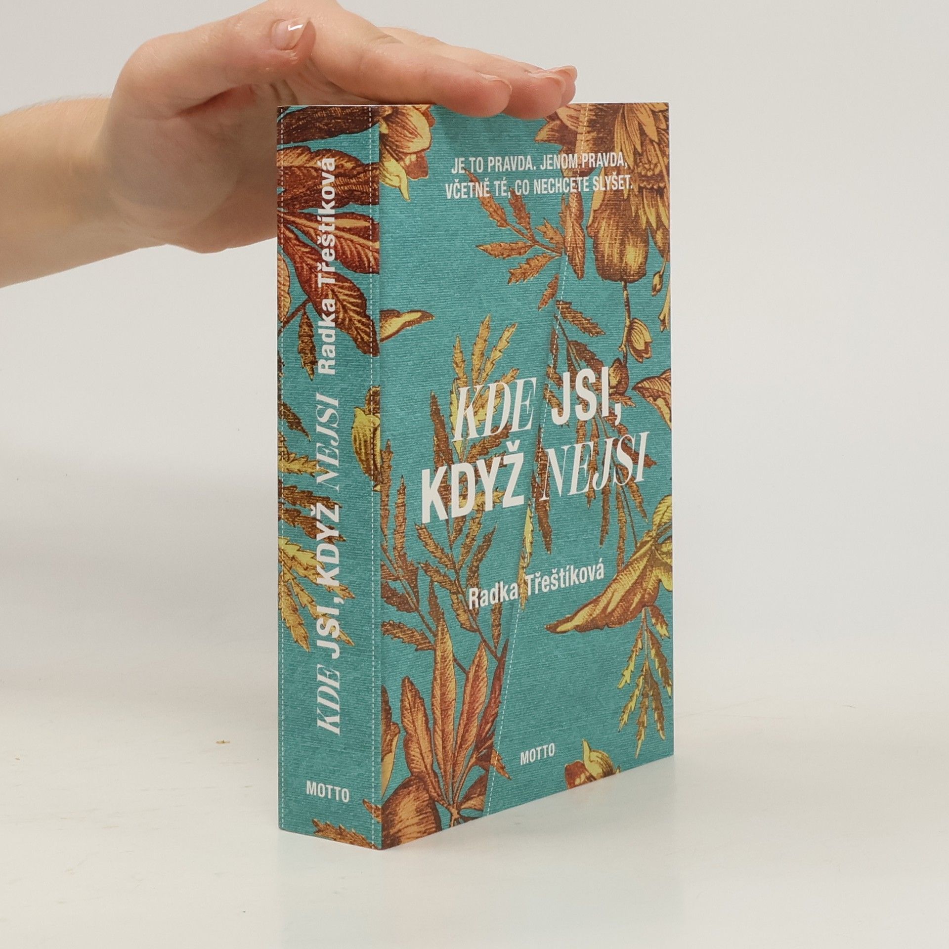 Radka Třeštíková Kde jsi, když nejsi