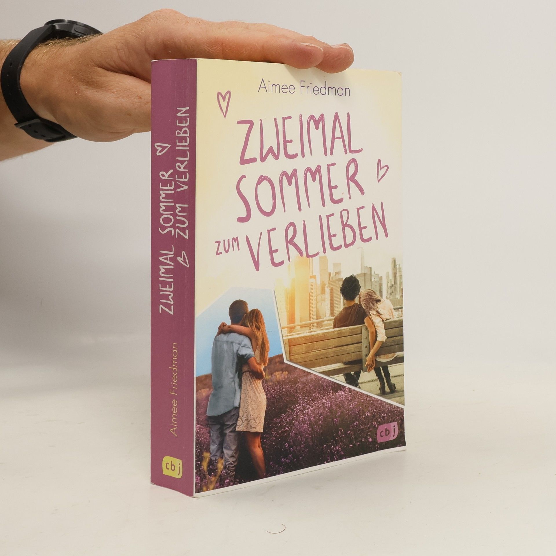 Aimee Friedman Zweimal Sommer zum Verlieben