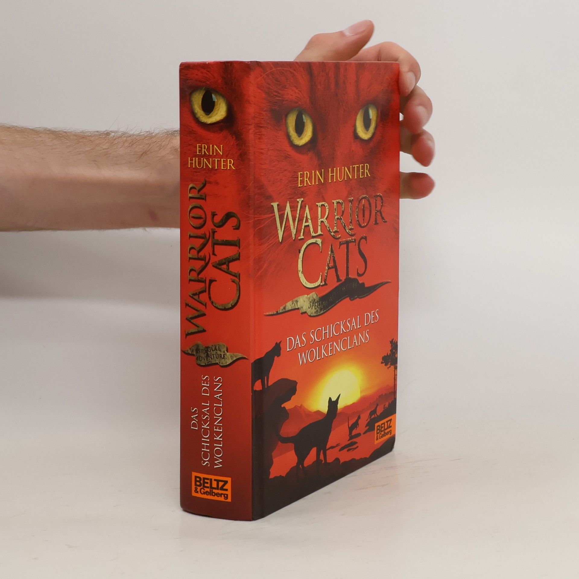 Erin Hunter Warrior Cats: Das Schicksal des WolkenClans