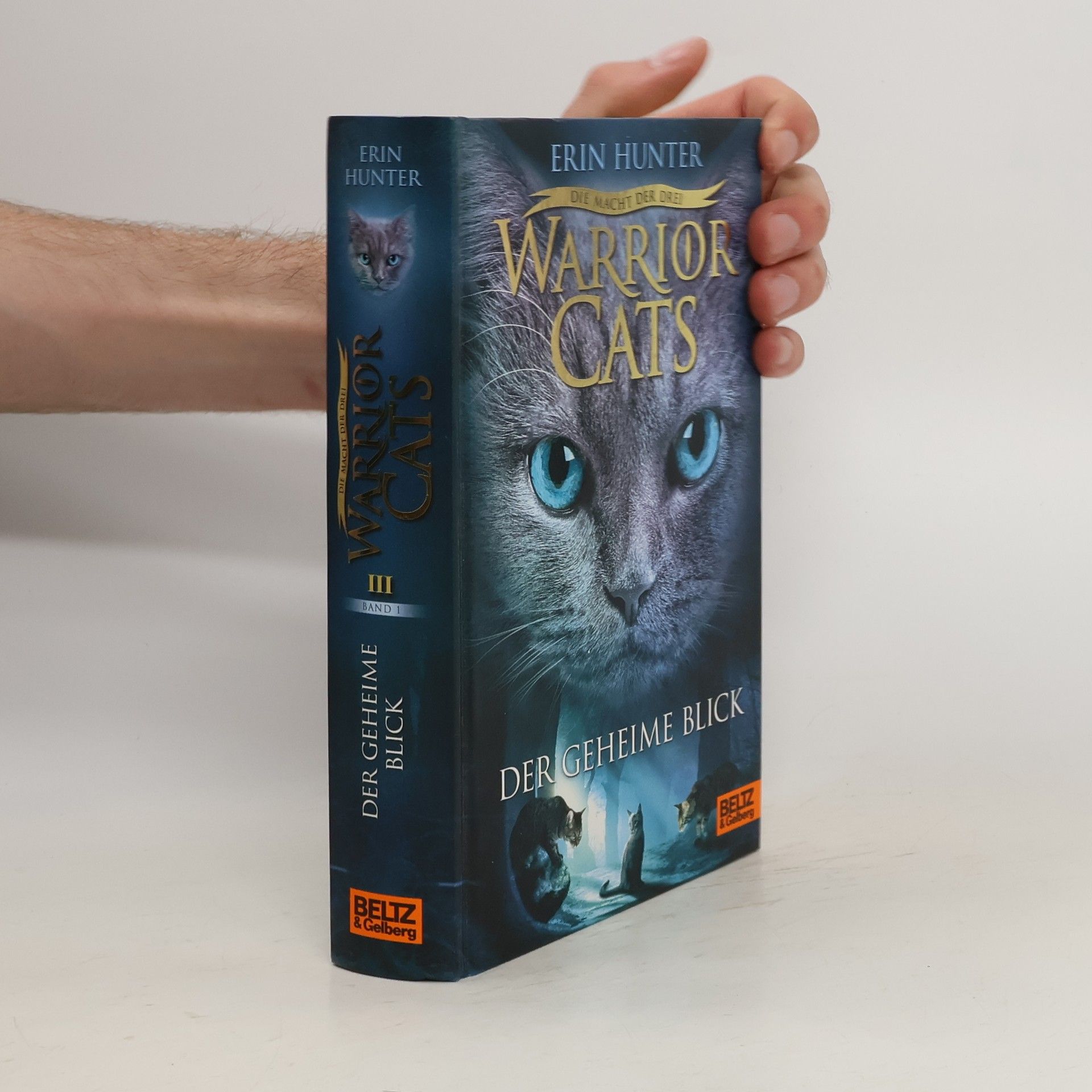 Erin Hunter Warrior Cats: Der geheime Blick