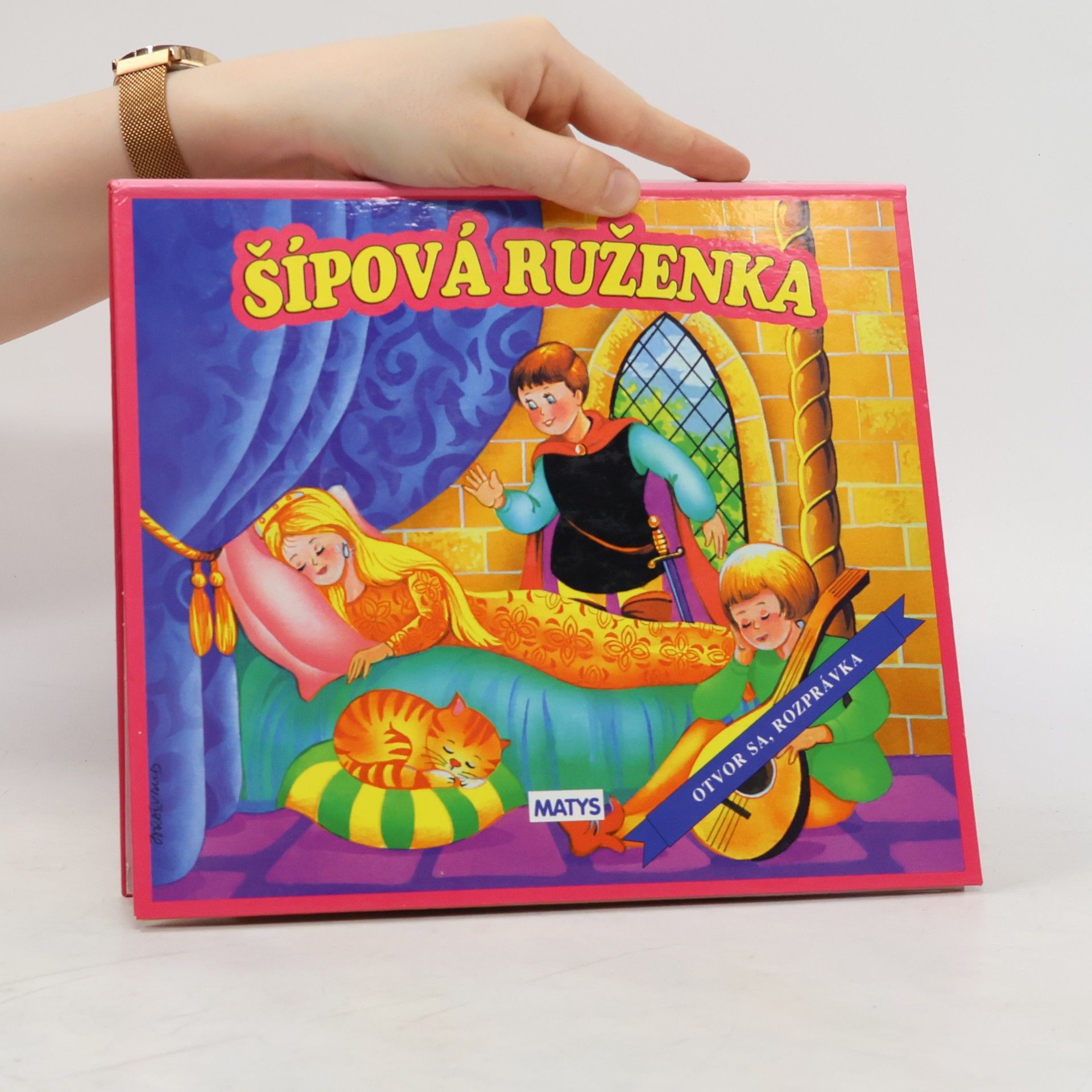 Carlos Busquets Šípová Ruženka