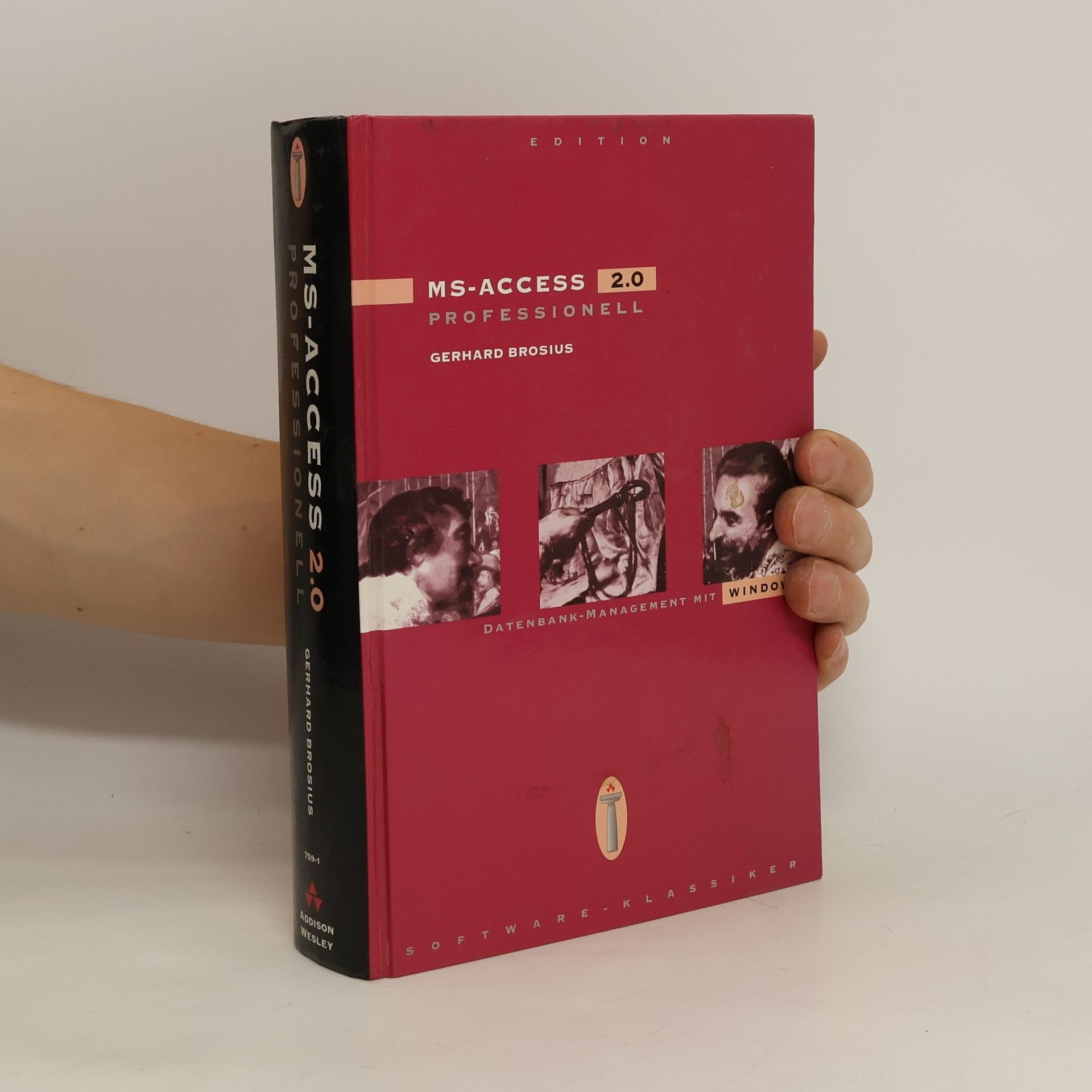 Autorenkollektiv Access 2.0 professionell