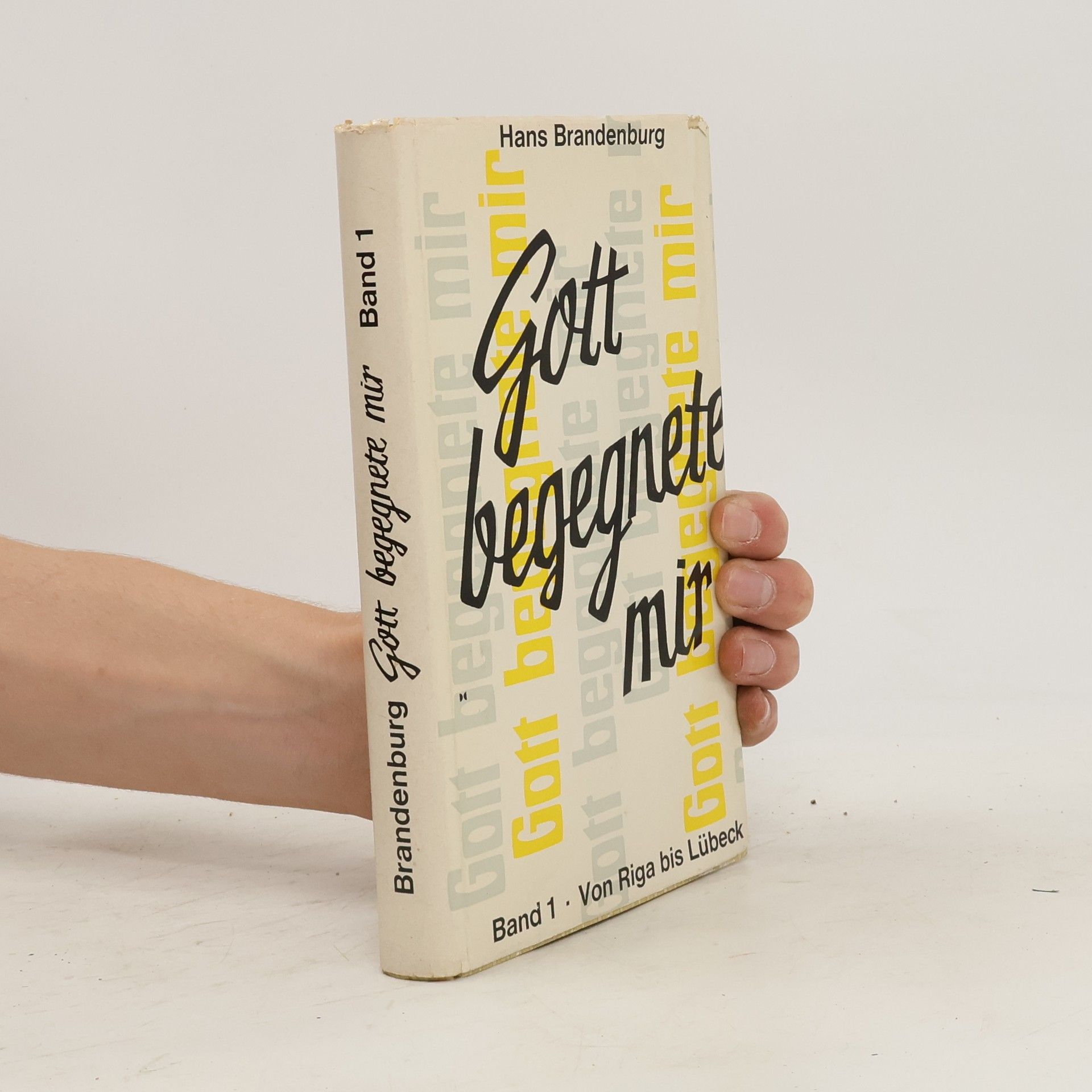 Hans Brandenburg Gott begegnete mir 1