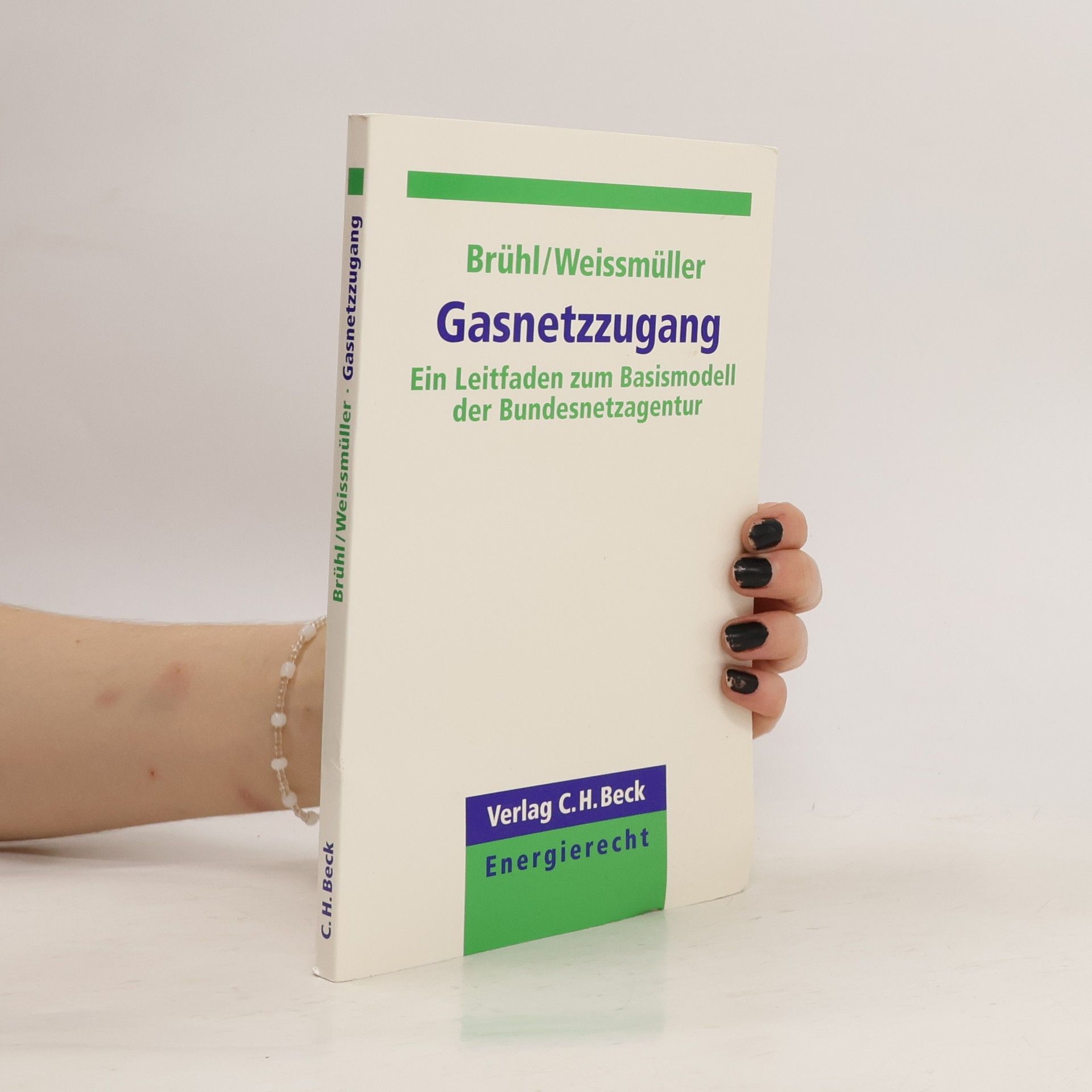 Götz Brühl Gasnetzzugang