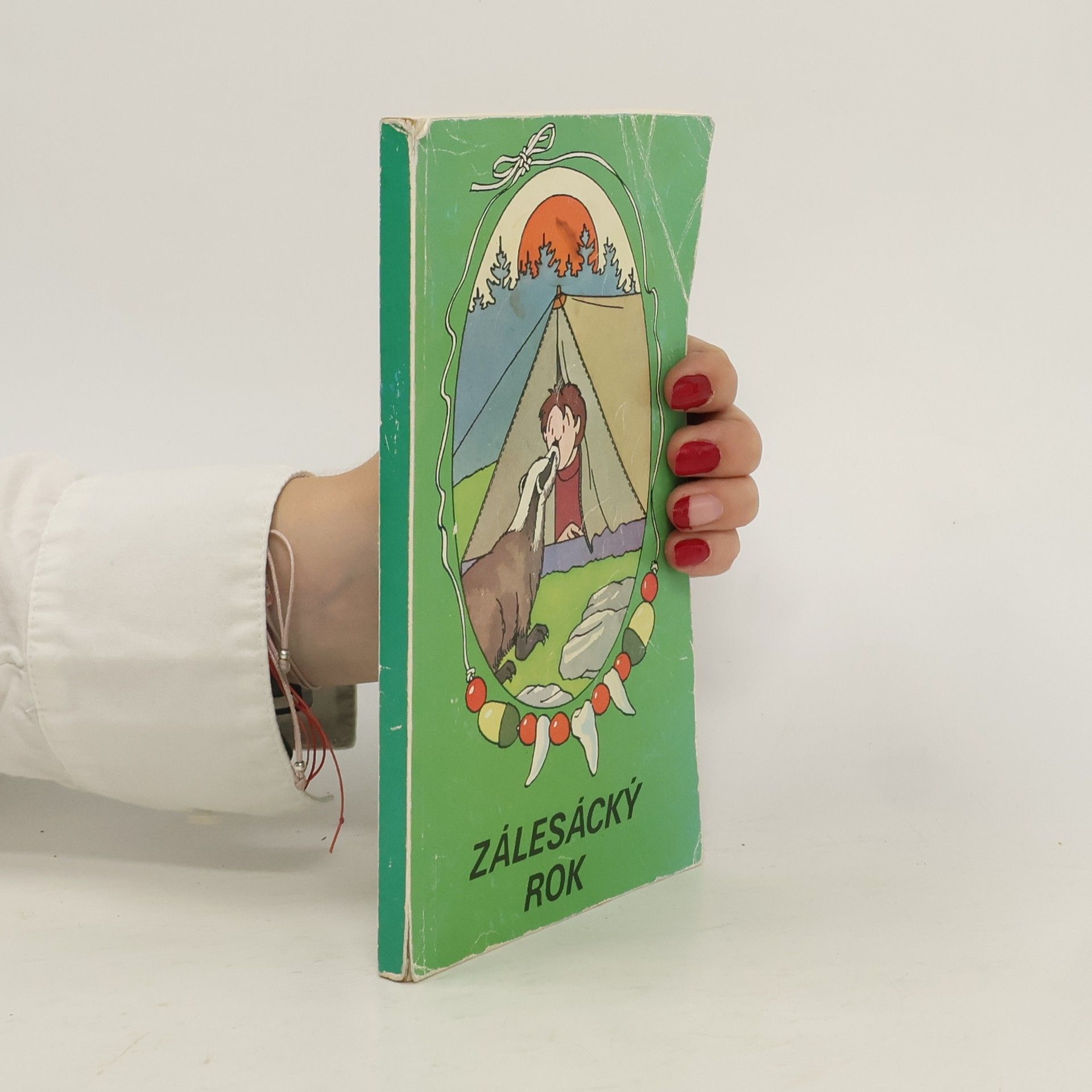 Collectif d'auteurs Zálesácký rok