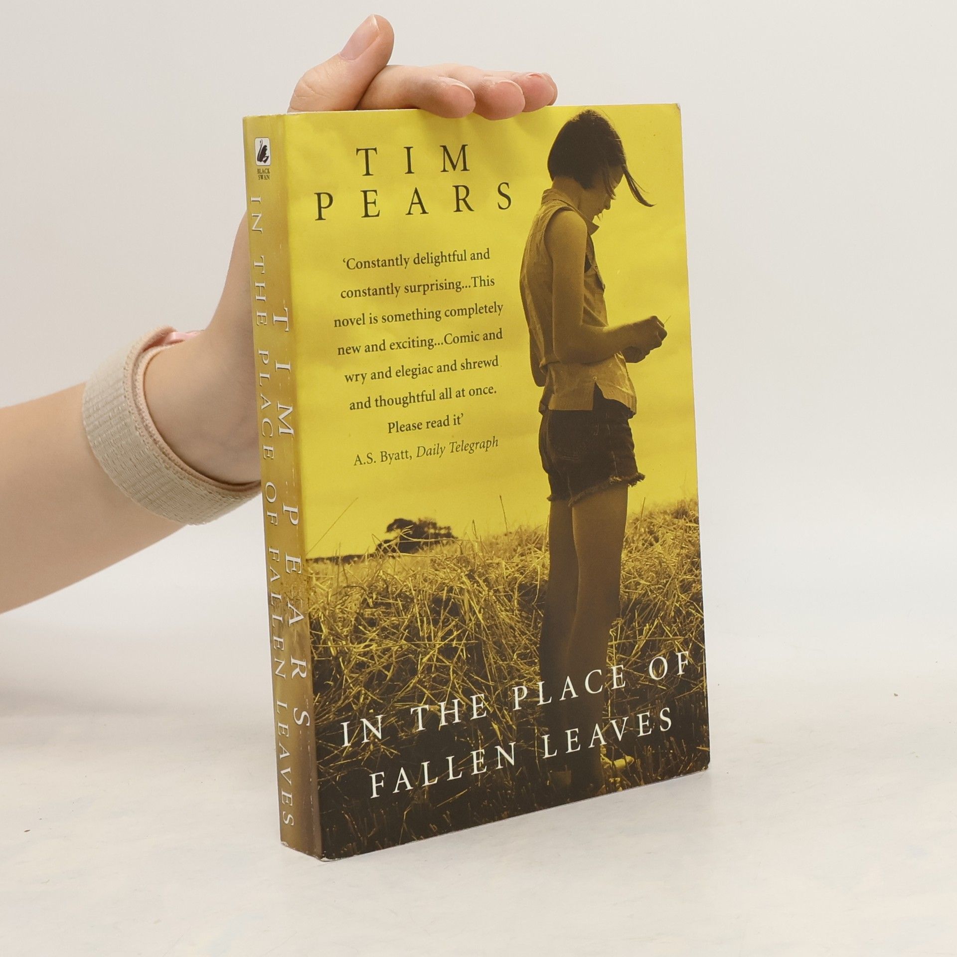 Tim Pears In the Place of Fallen Leaves