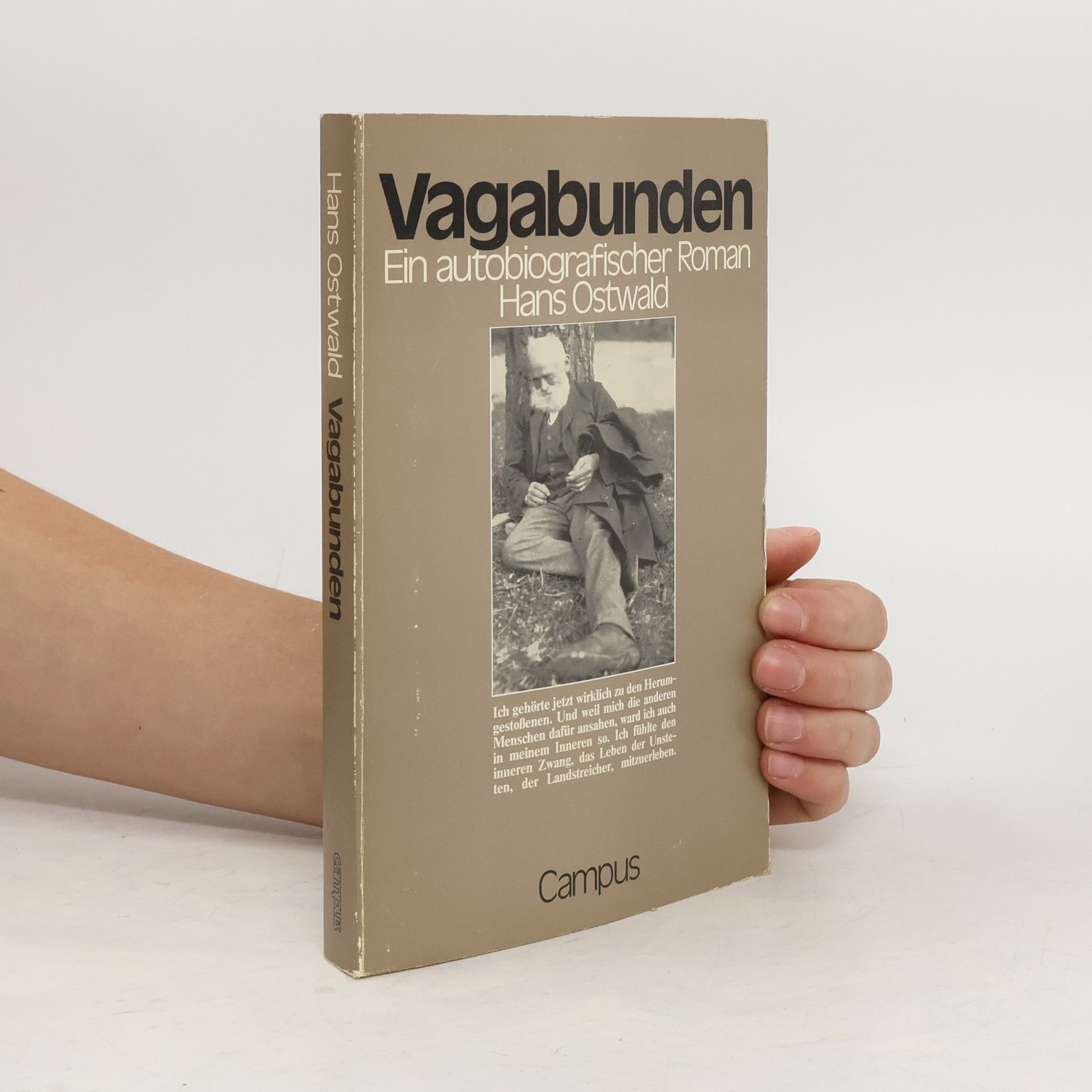 Hans Ostwald Vagabunden