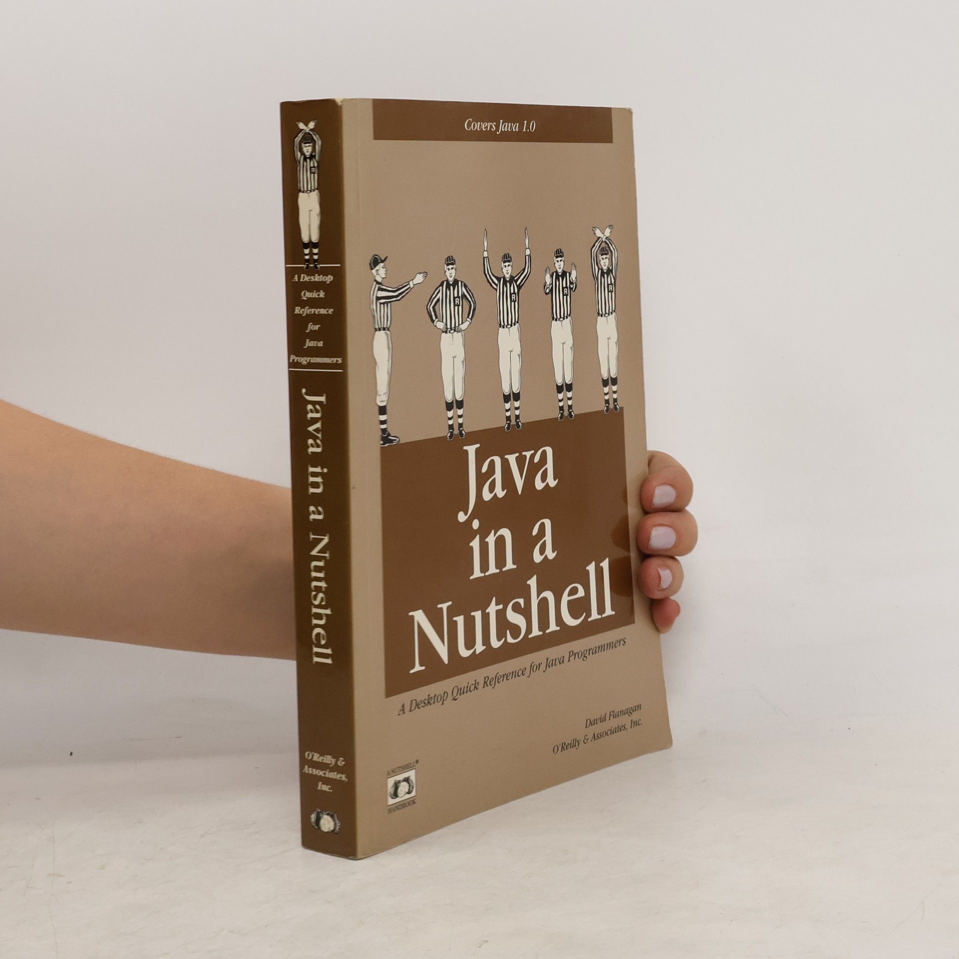 David Flanagan Java in a nutshell