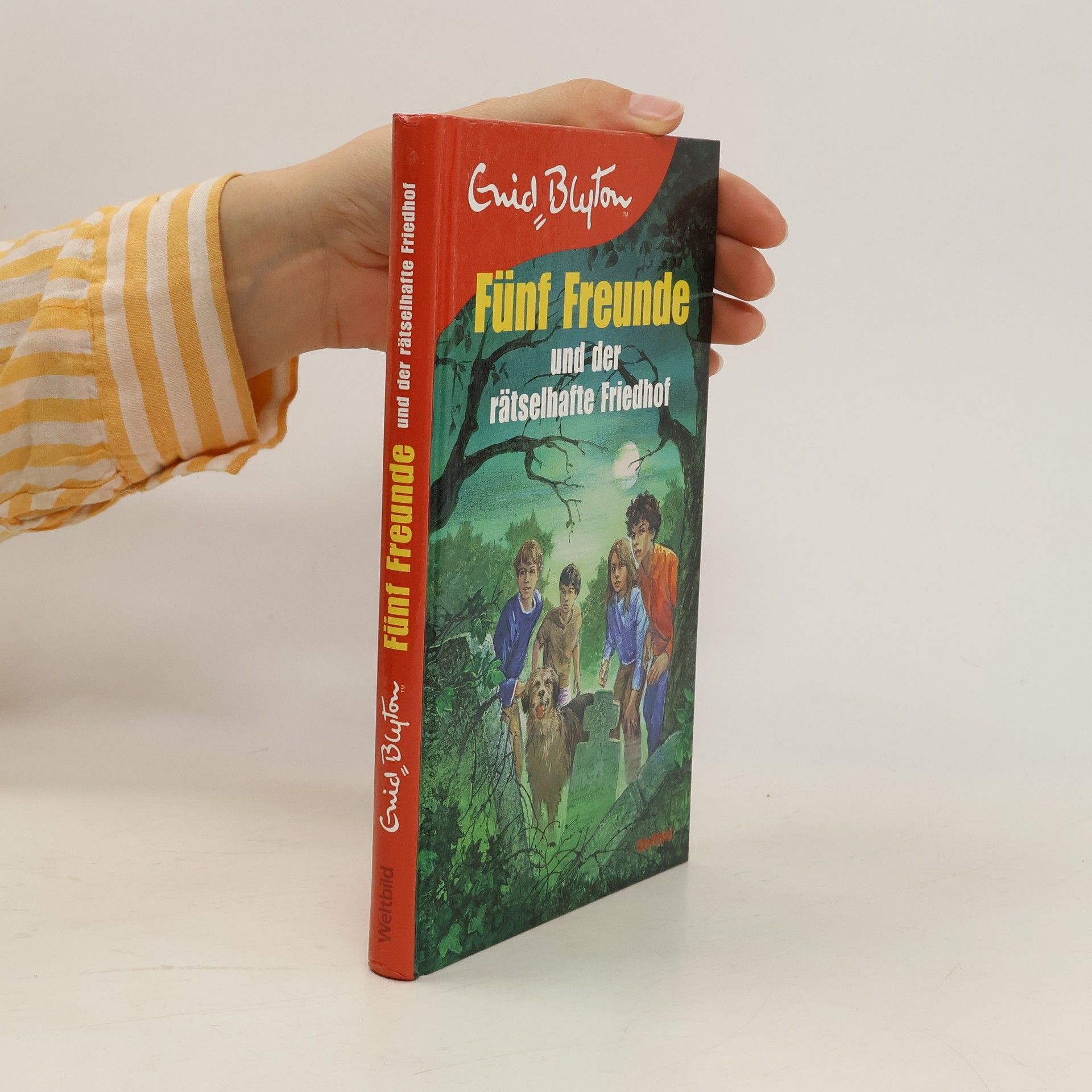 Enid Blyton Fünf Freunde und die geheimnisvolle Ruine