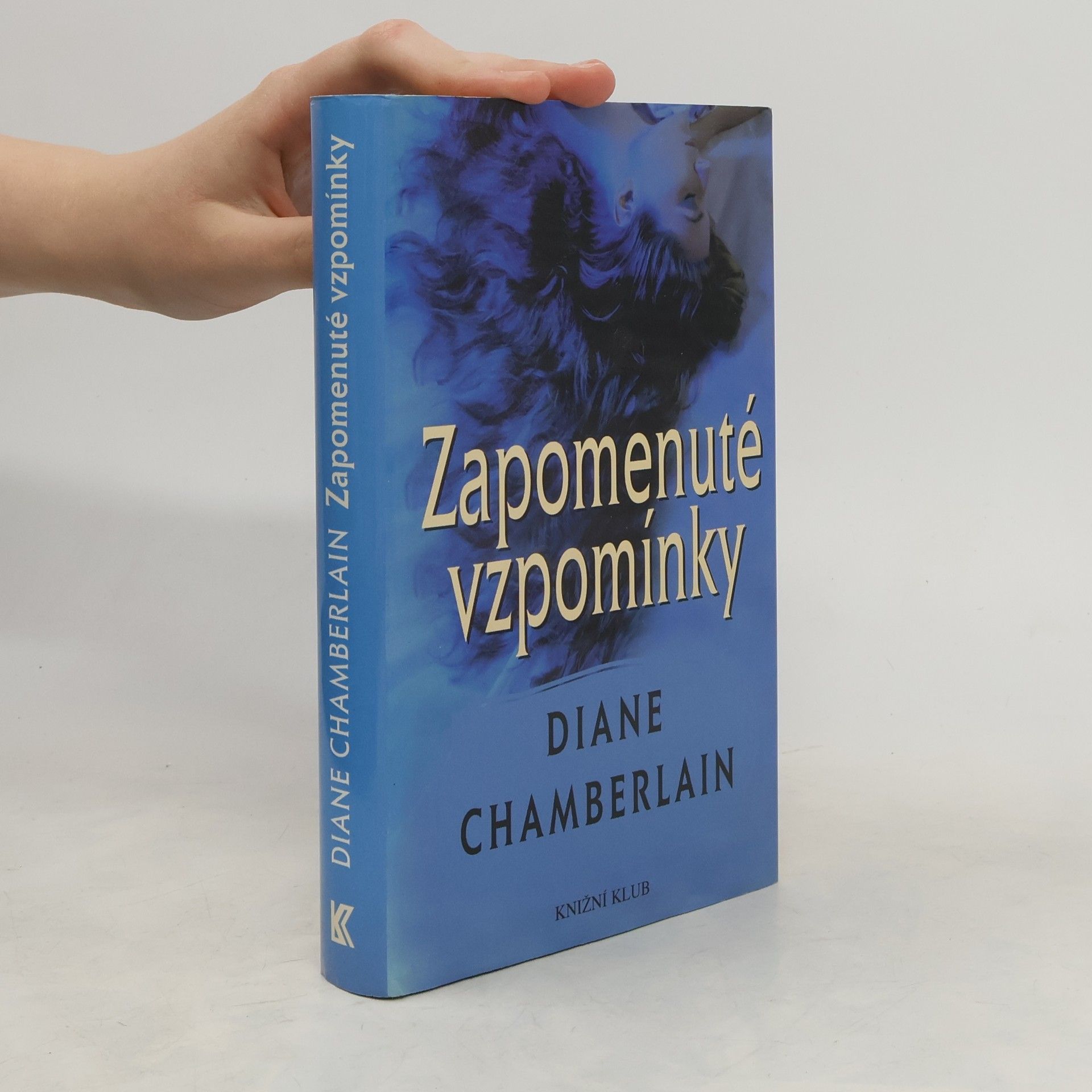 Diane Chamberlain Zapomenuté vzpomínky