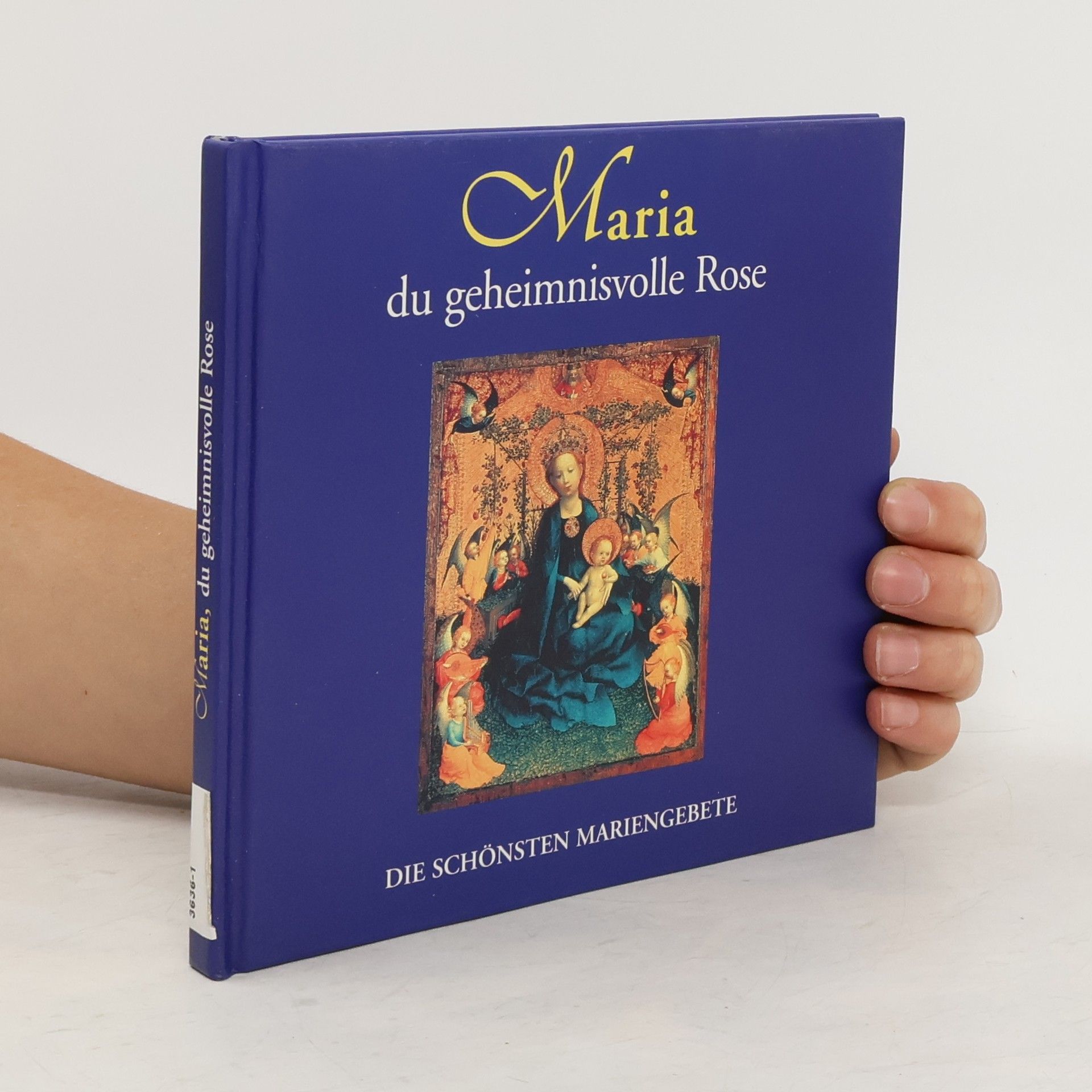 Collectif d'auteurs Maria. Du geheimnisvolle Rose