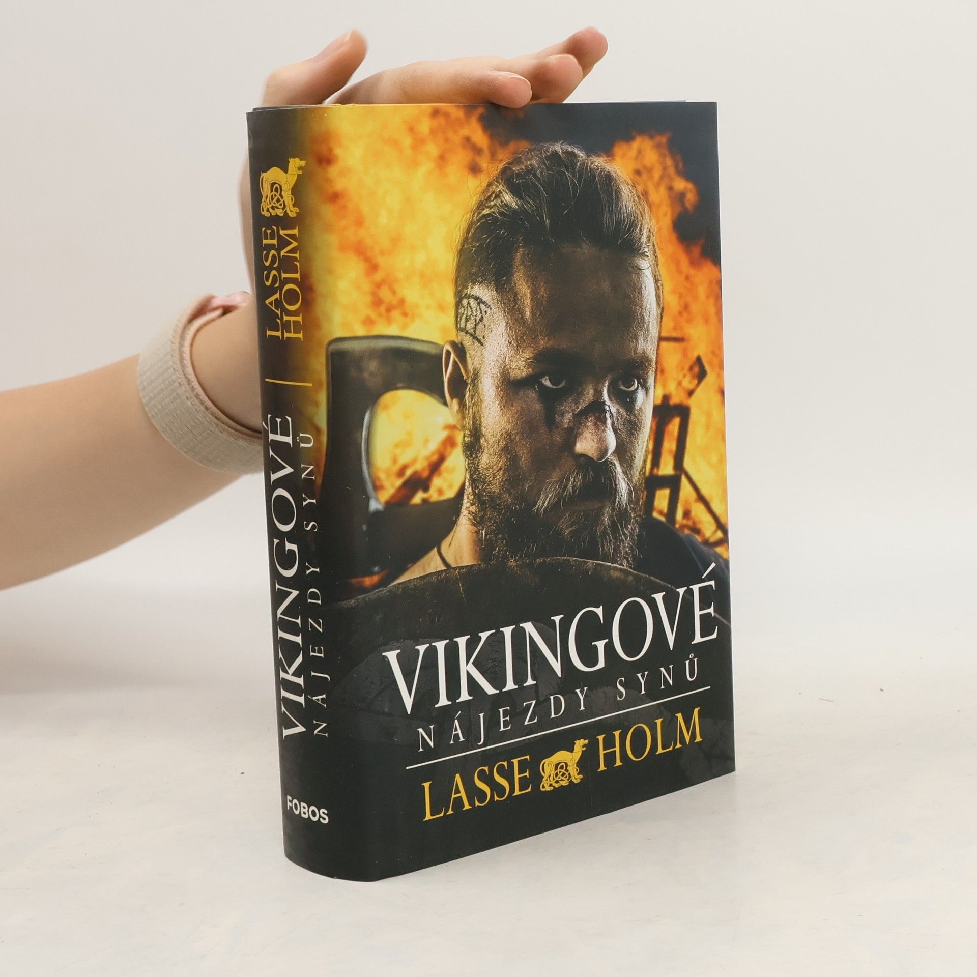 Lasse Holm Vikingové. Nájezdy synů