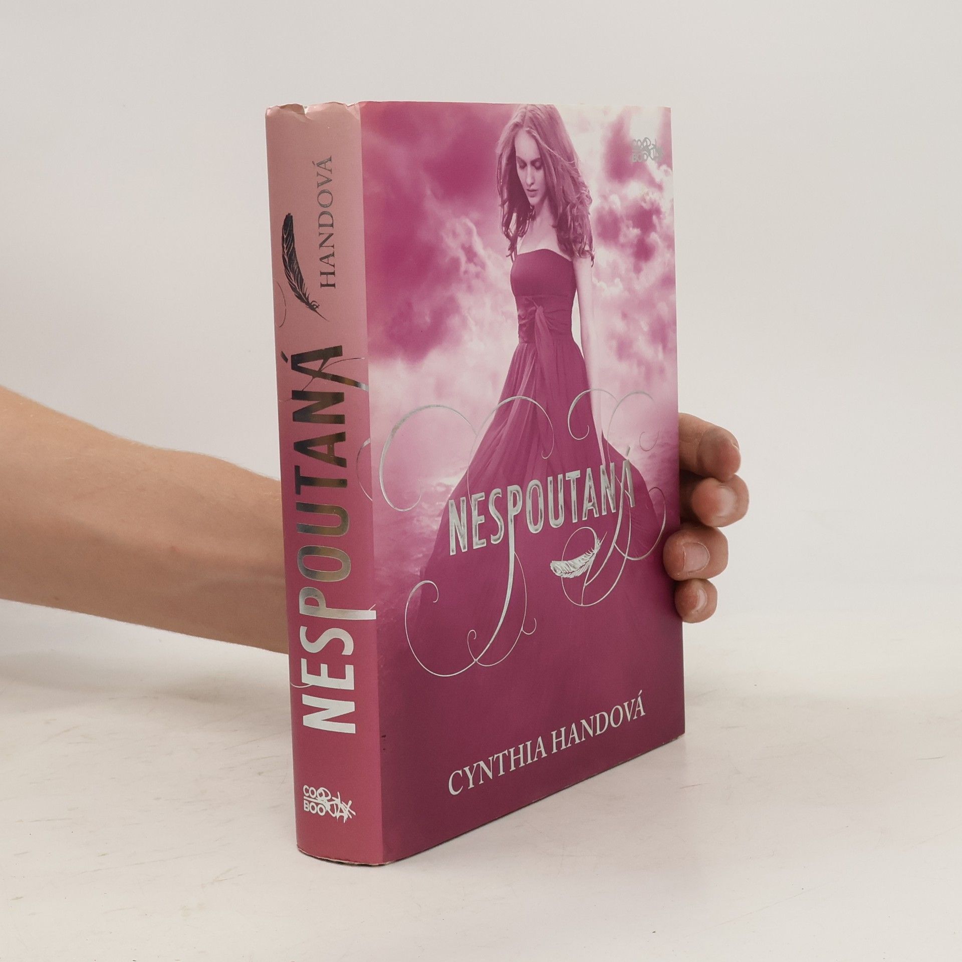 Cynthia Hand Nespoutaná. Třetí díl