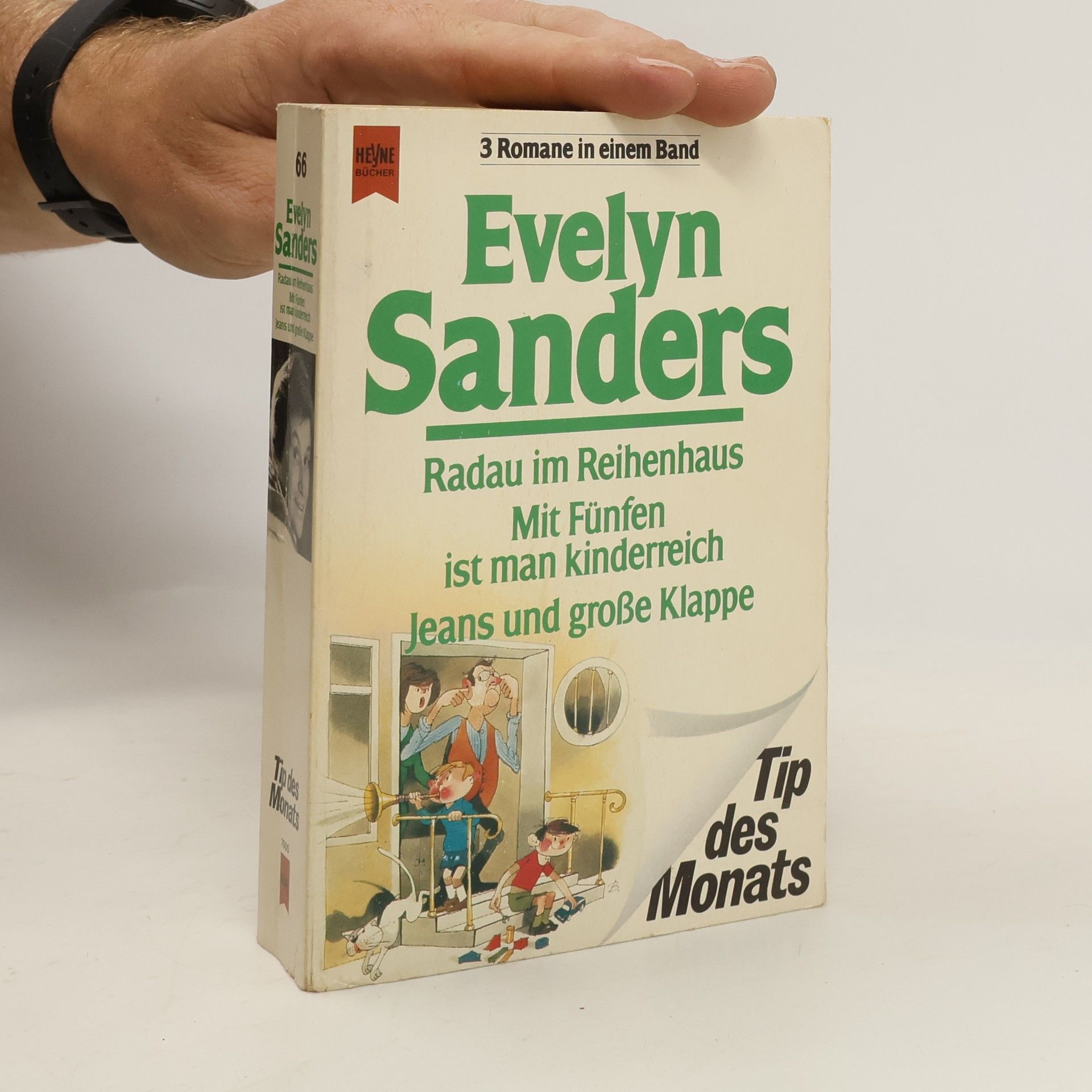 Evelyn Sanders Radau im Reihenhaus. Mit Fünfen ist man kinderreich. Jeans und große Klappe