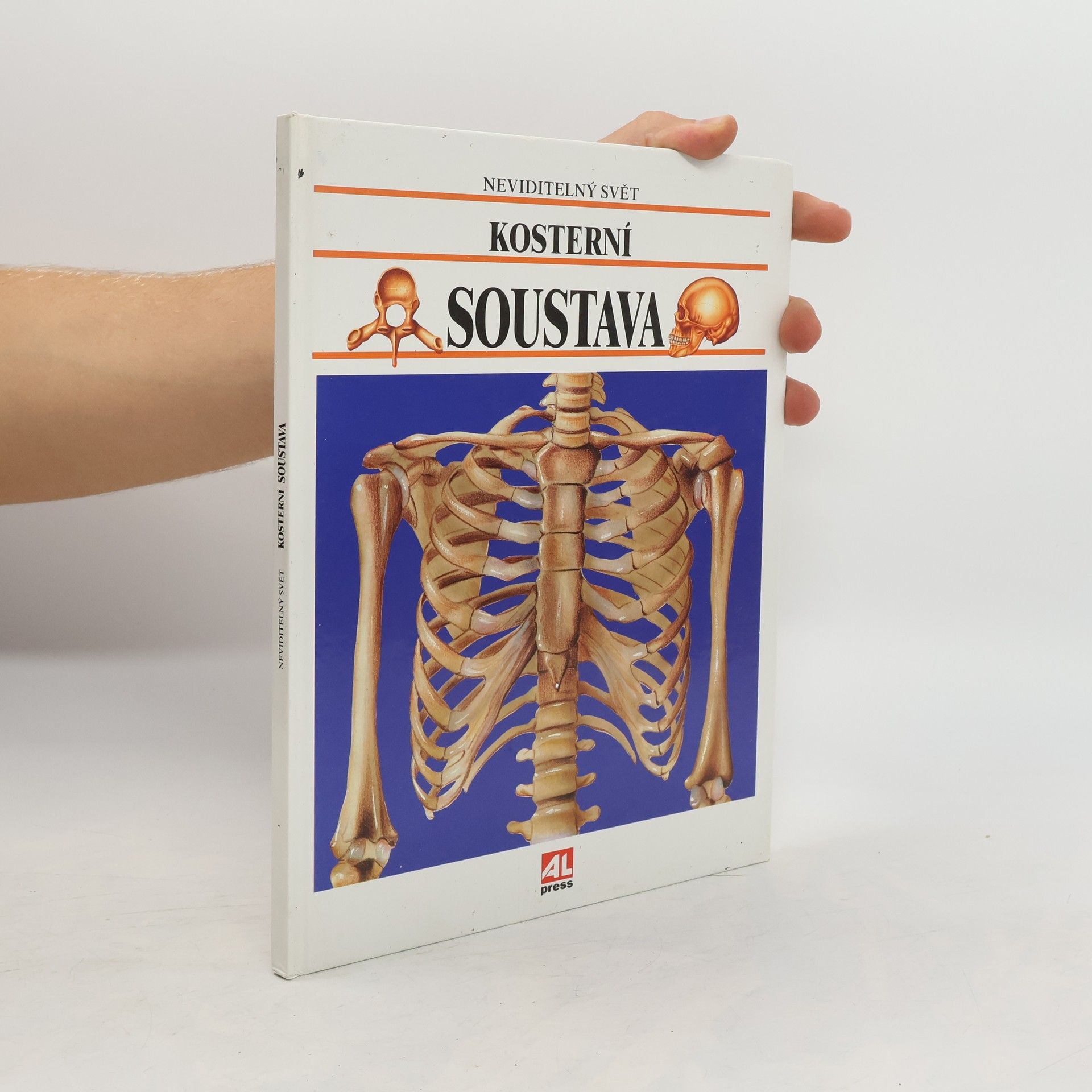 Collective Kosterní soustava