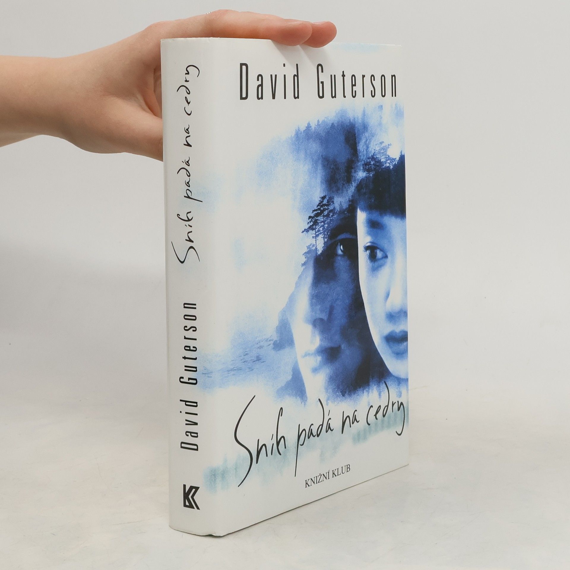 David Guterson Sníh padá na cedry