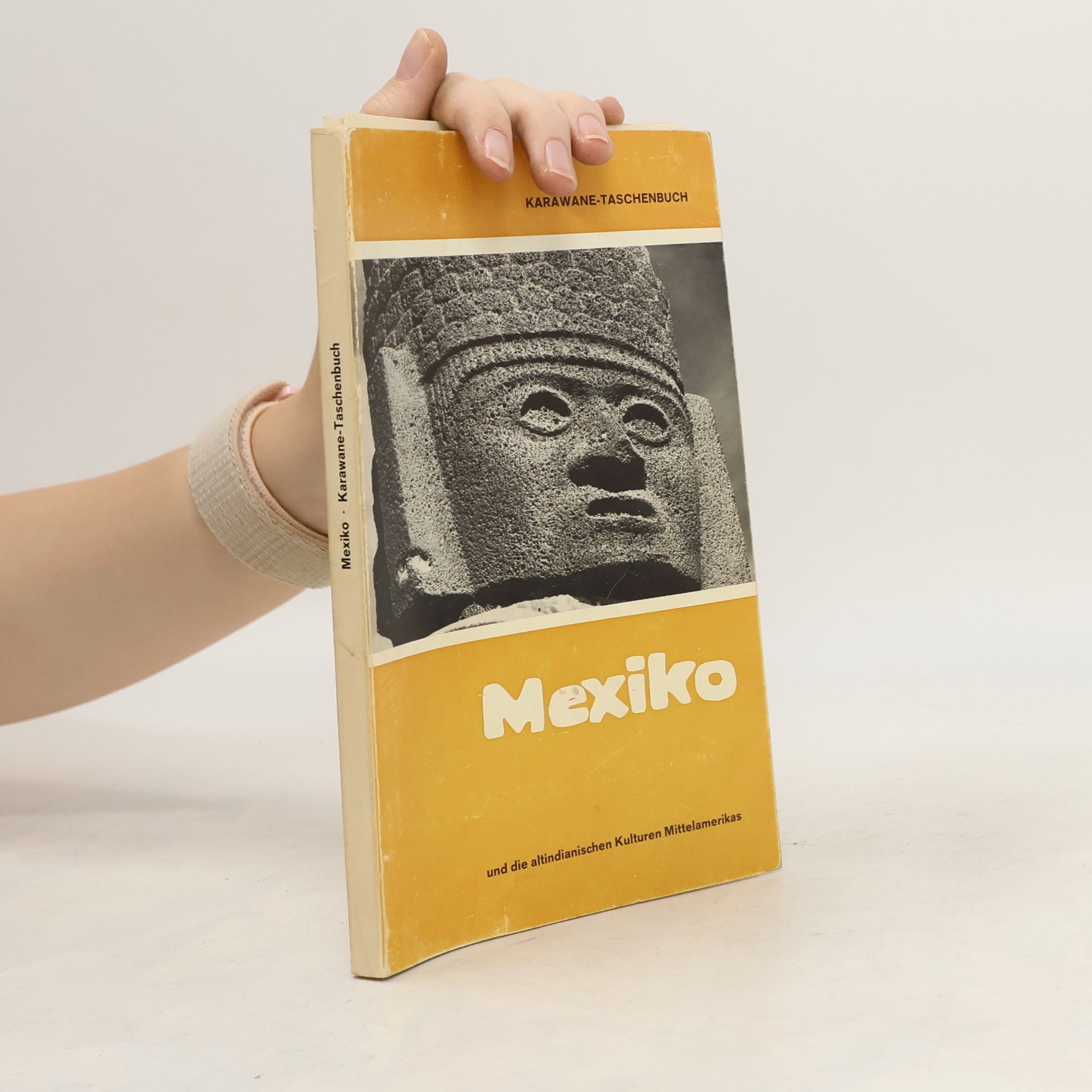 Collectif d'auteurs Mexiko. Karawane Taschenbuch