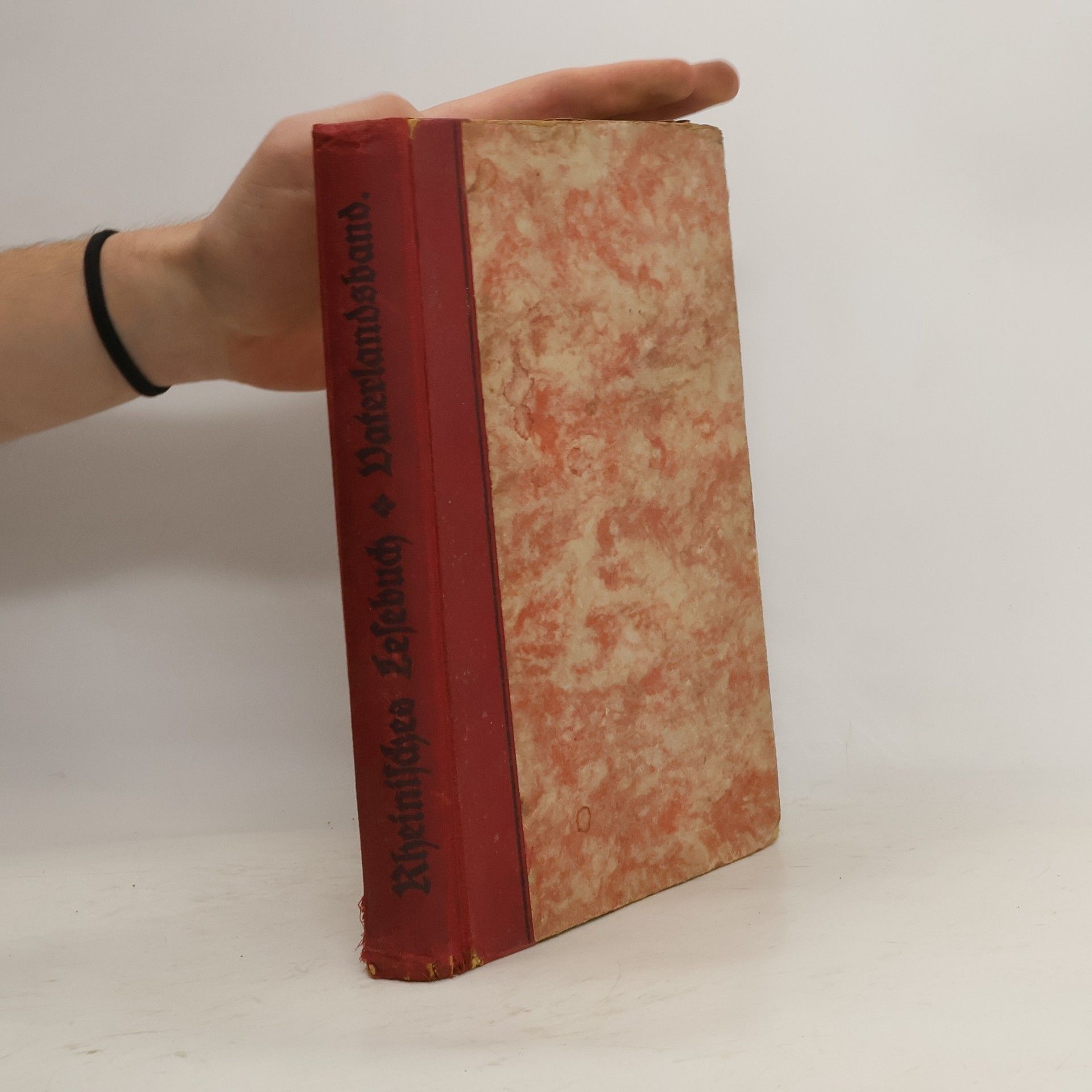 Autores varios Rheinisches Lesebuch