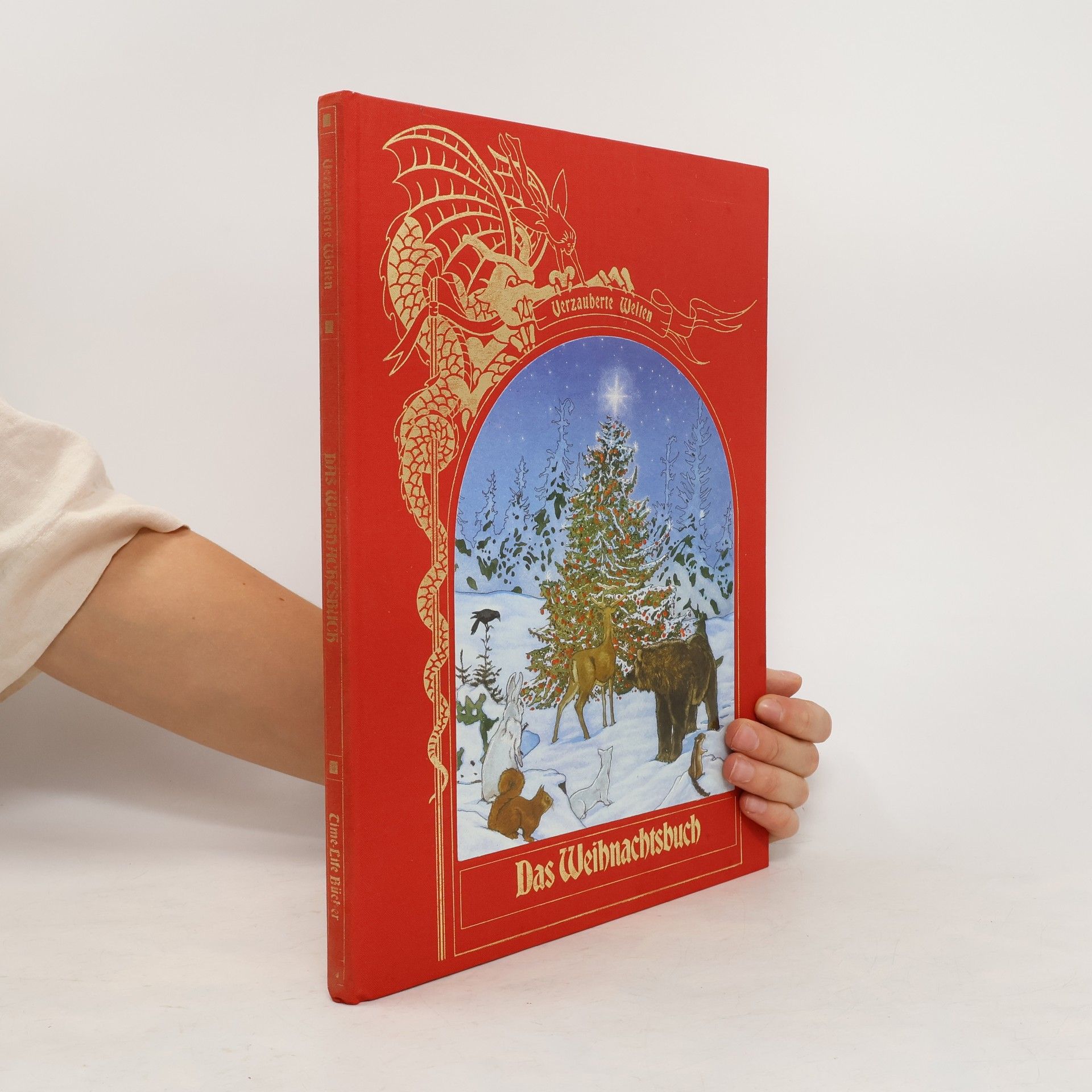 Das Weihnachtsbuch
