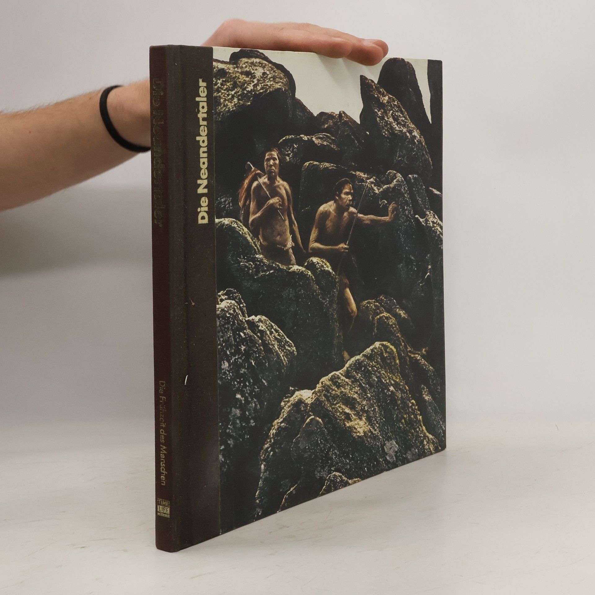 Kolektiv autorů Die Neandertaler