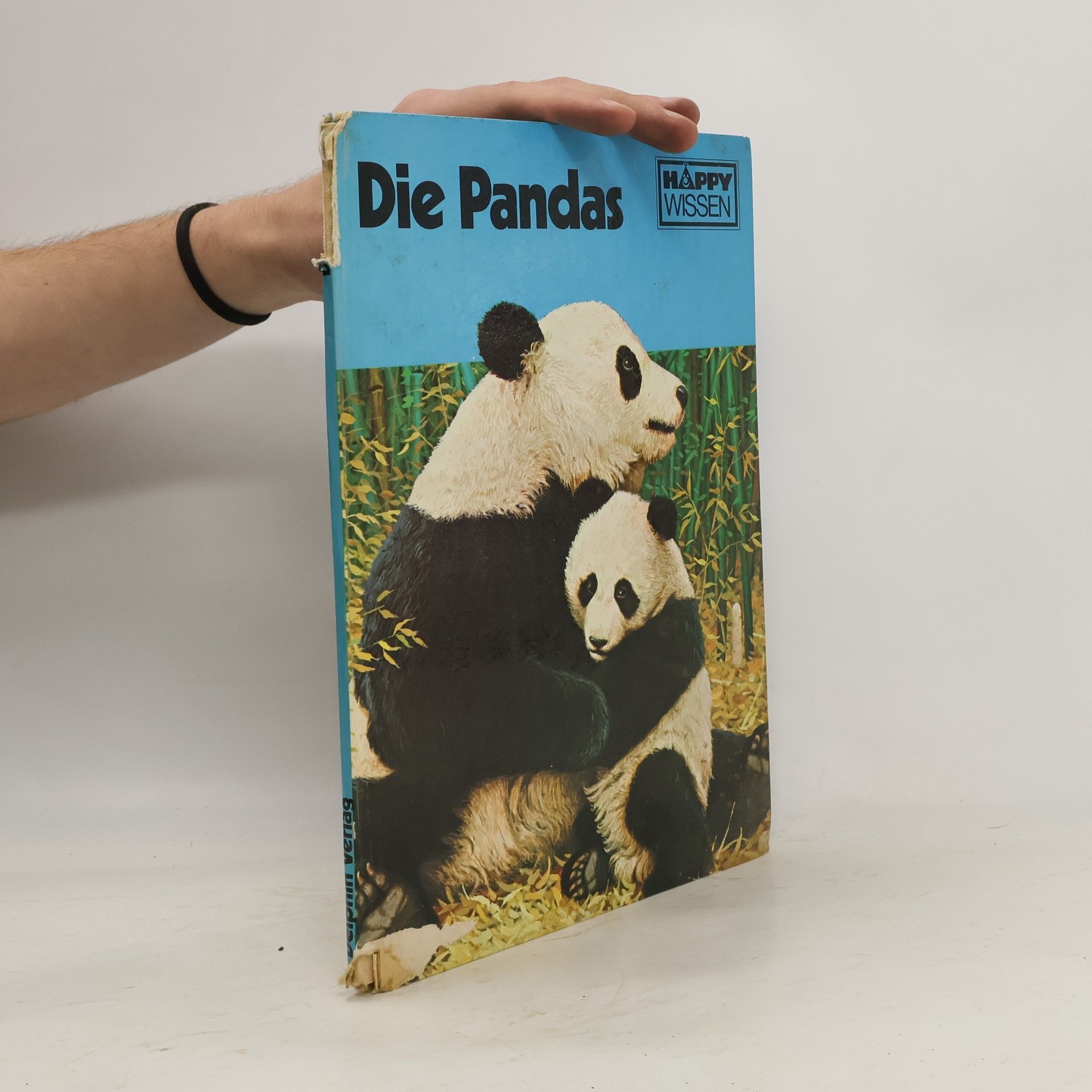 Anthony Hiss Die Pandas
