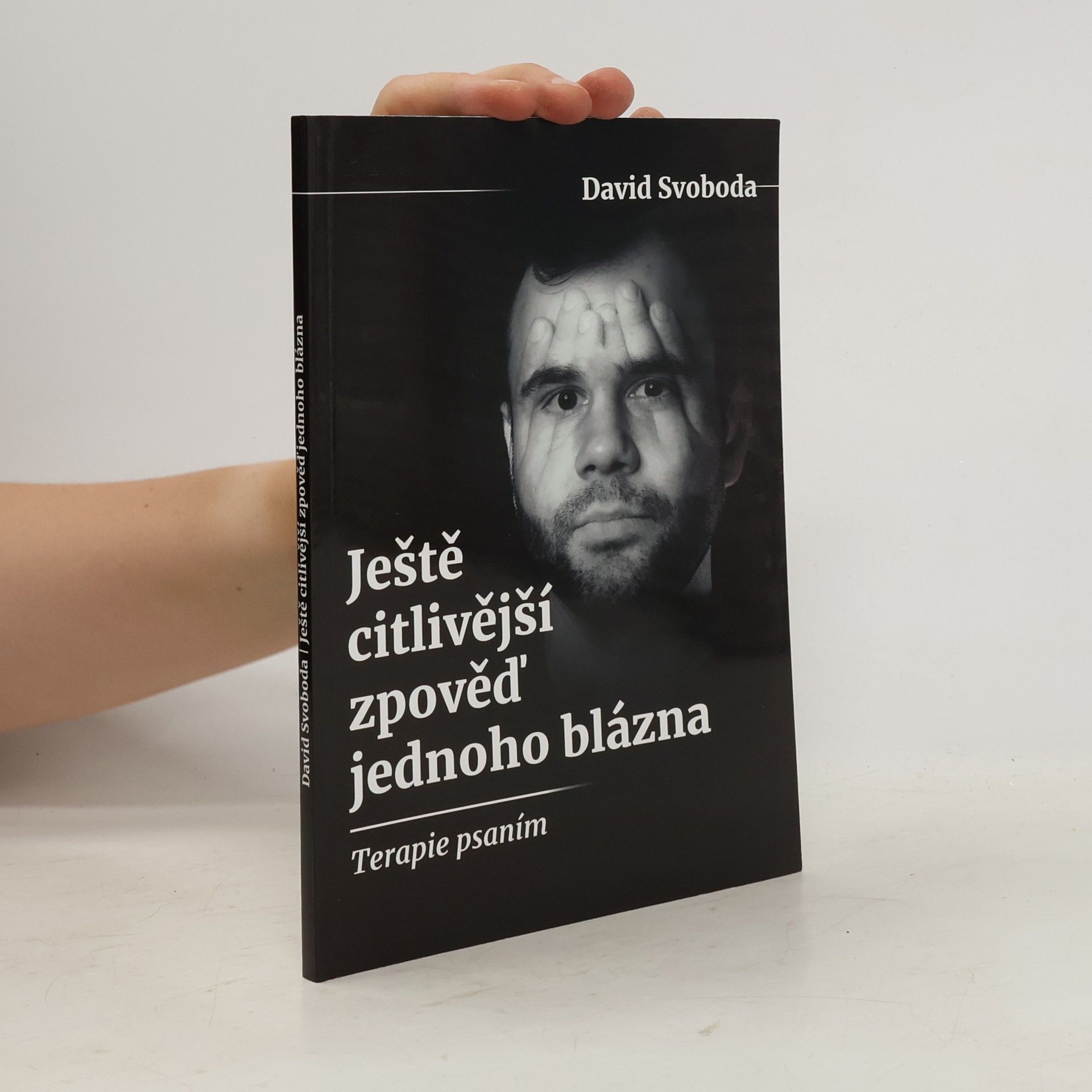 David Svoboda Ještě citlivější zpověď jednoho blázna. Terapie psaním