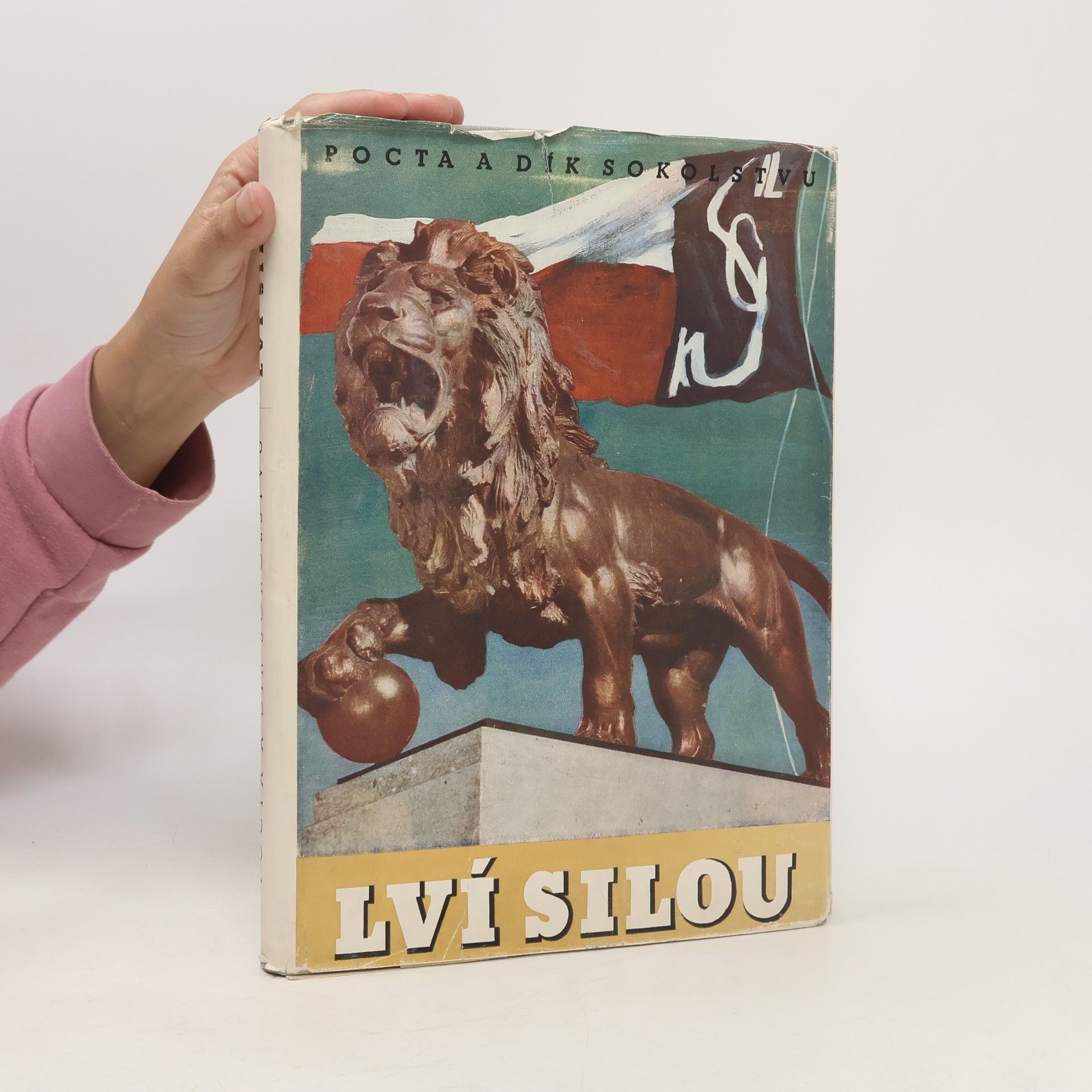 Collective Lví silou