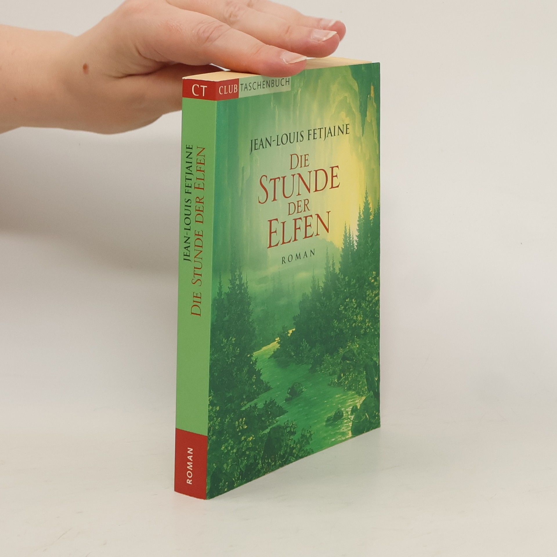 Jean-Louis Fetjaine Die Stunde der Elfen