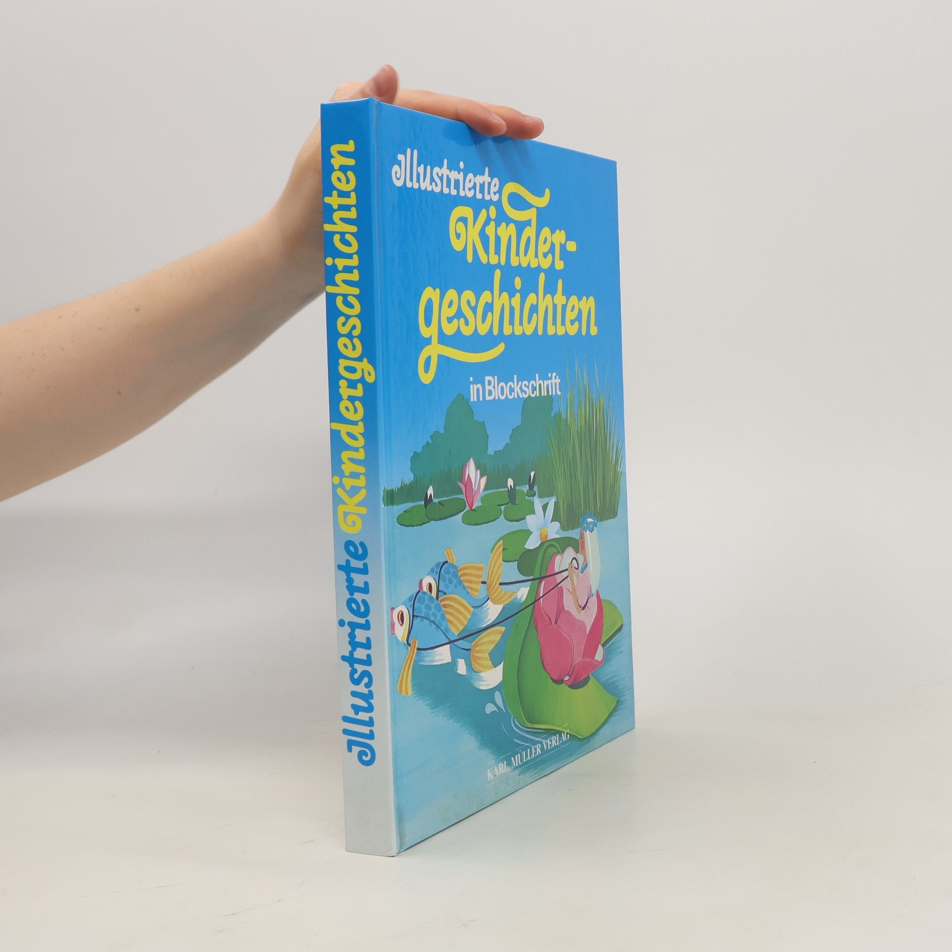 Autorenkollektiv Illustrierte Kindergeschichten in Blockschrift