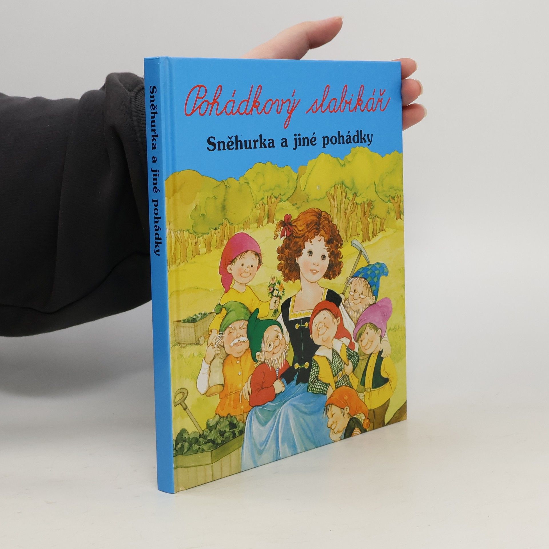 Collectif d'auteurs Pohádkový slabikář. Sněhurka a jiné pohádky