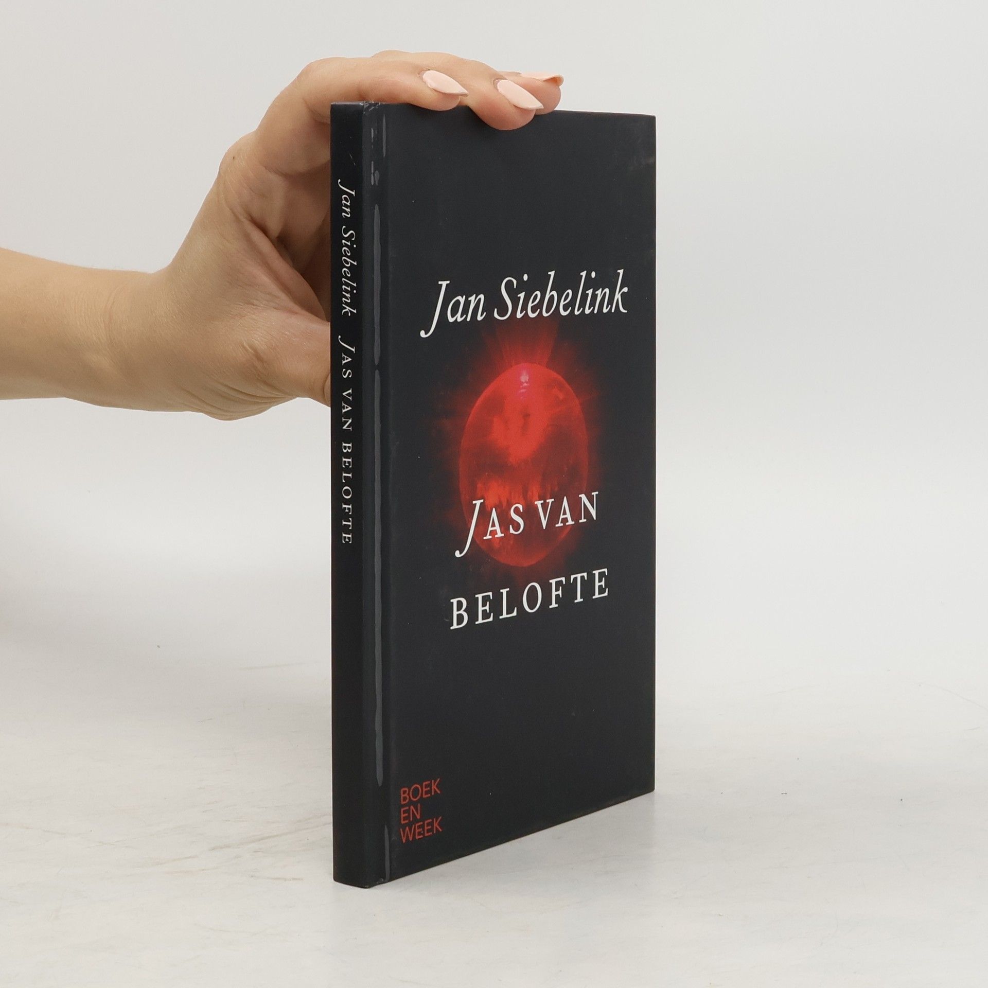 Jan Geurt Siebelink Jas van belofte