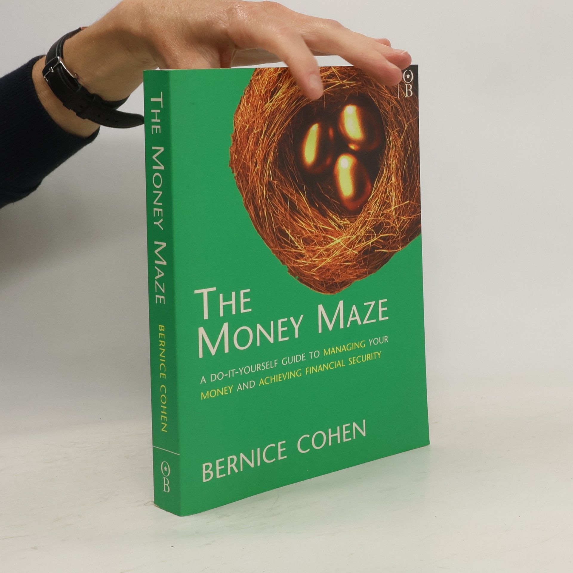 Bernice Cohen The Money Maze