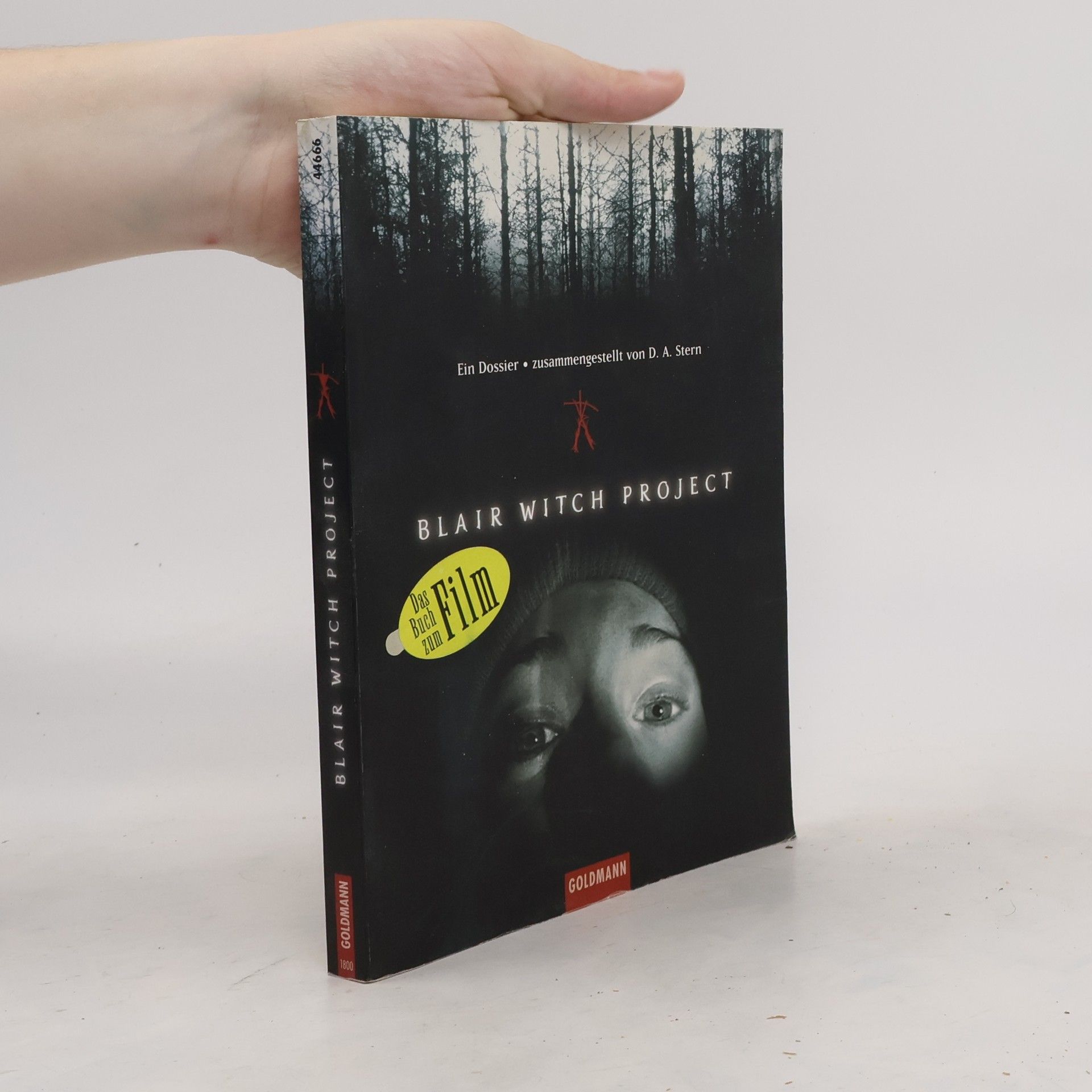 Dave Stern Blair witch project