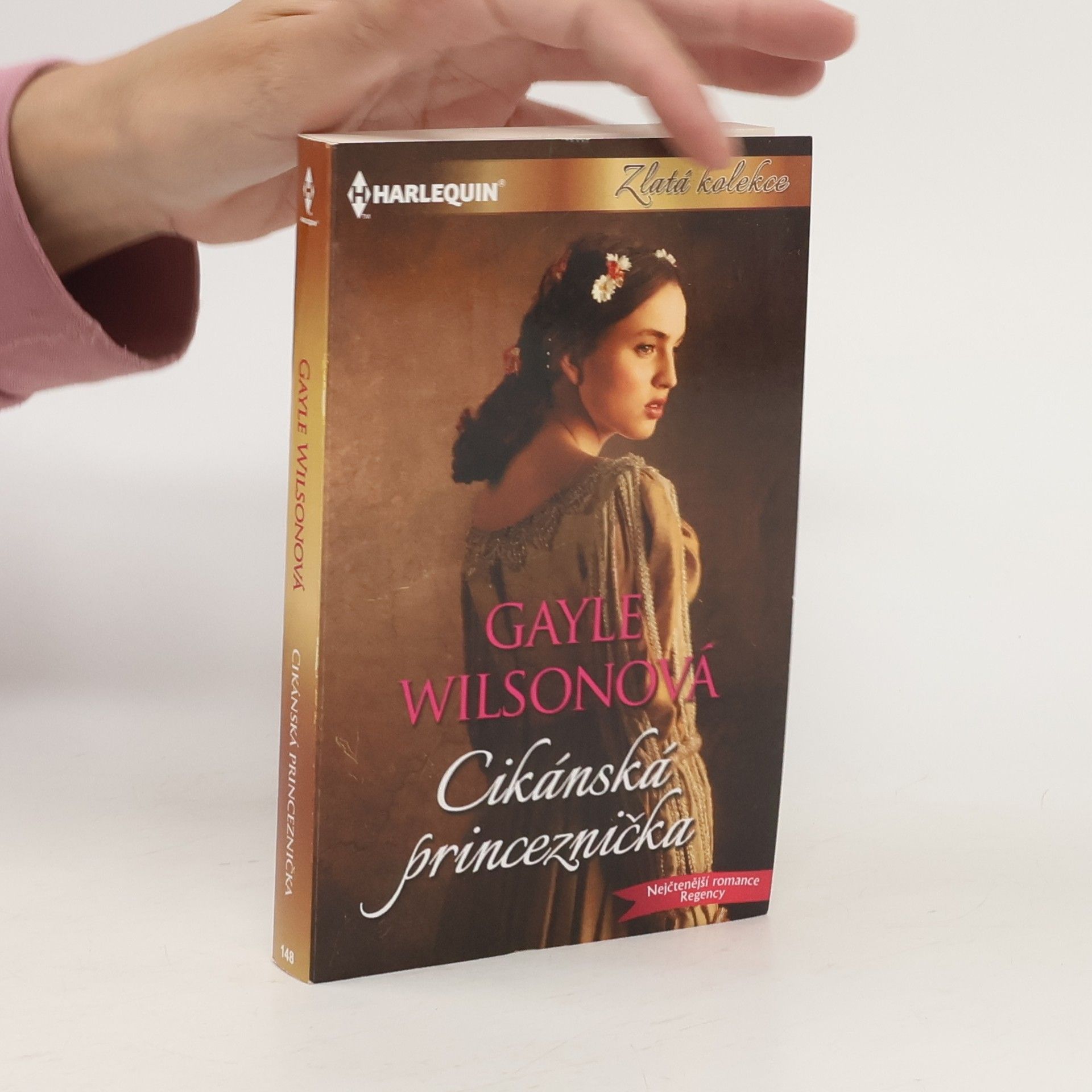 Gayle Wilson Cikánská princeznička
