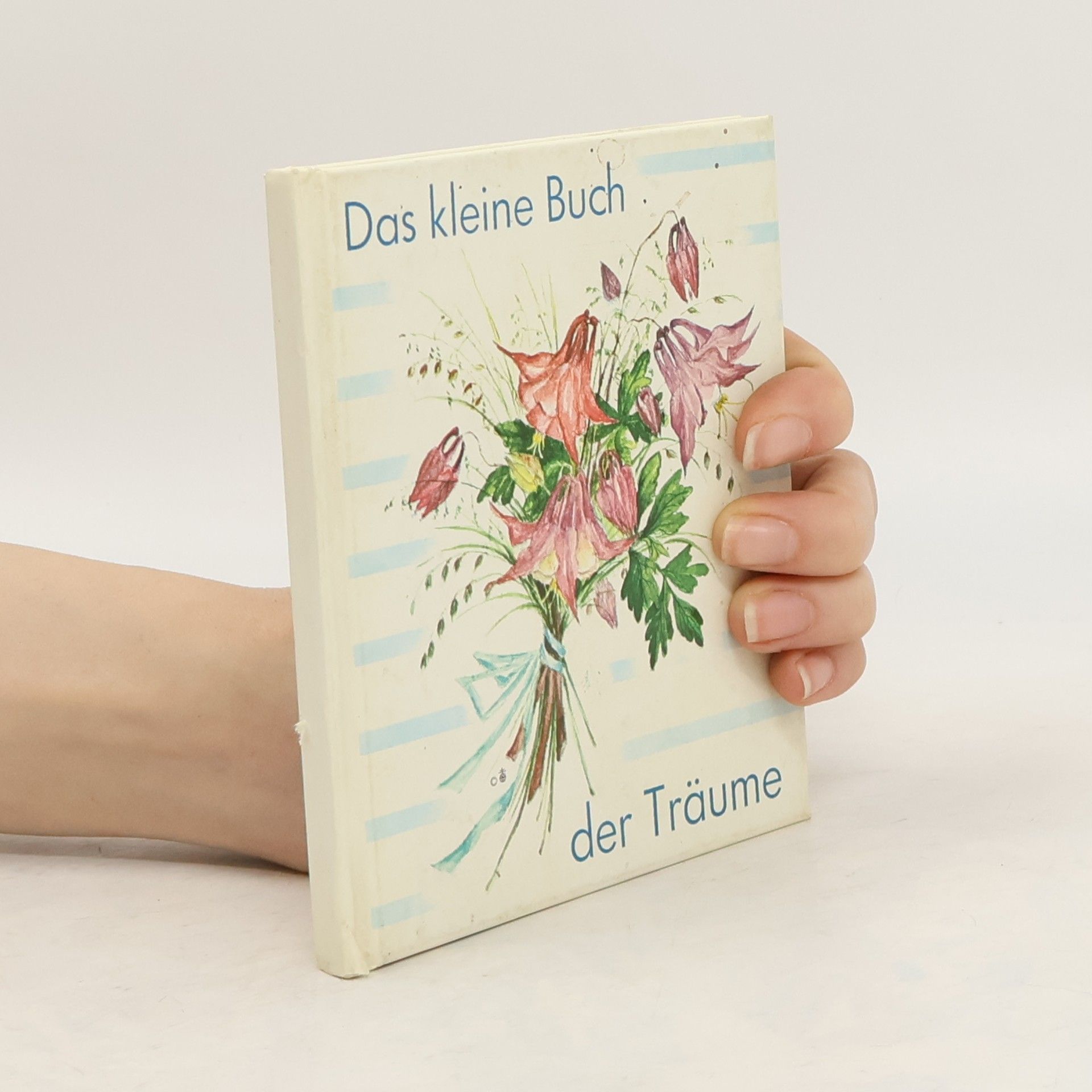 Maria Nels Das kleine Buch der Träume