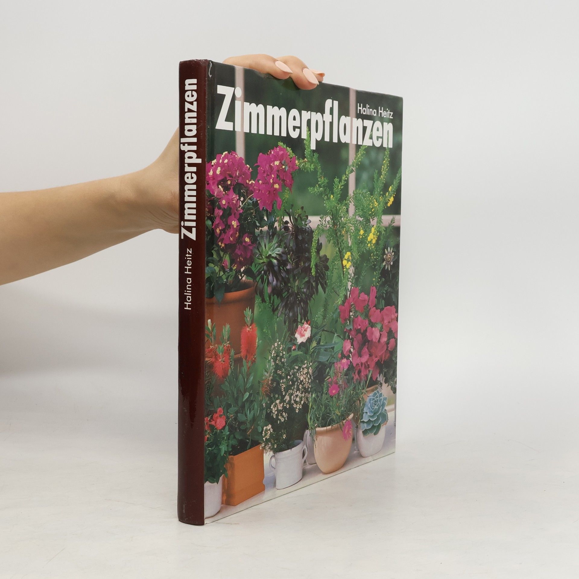 Halina Heitz Zimmerpflanzen