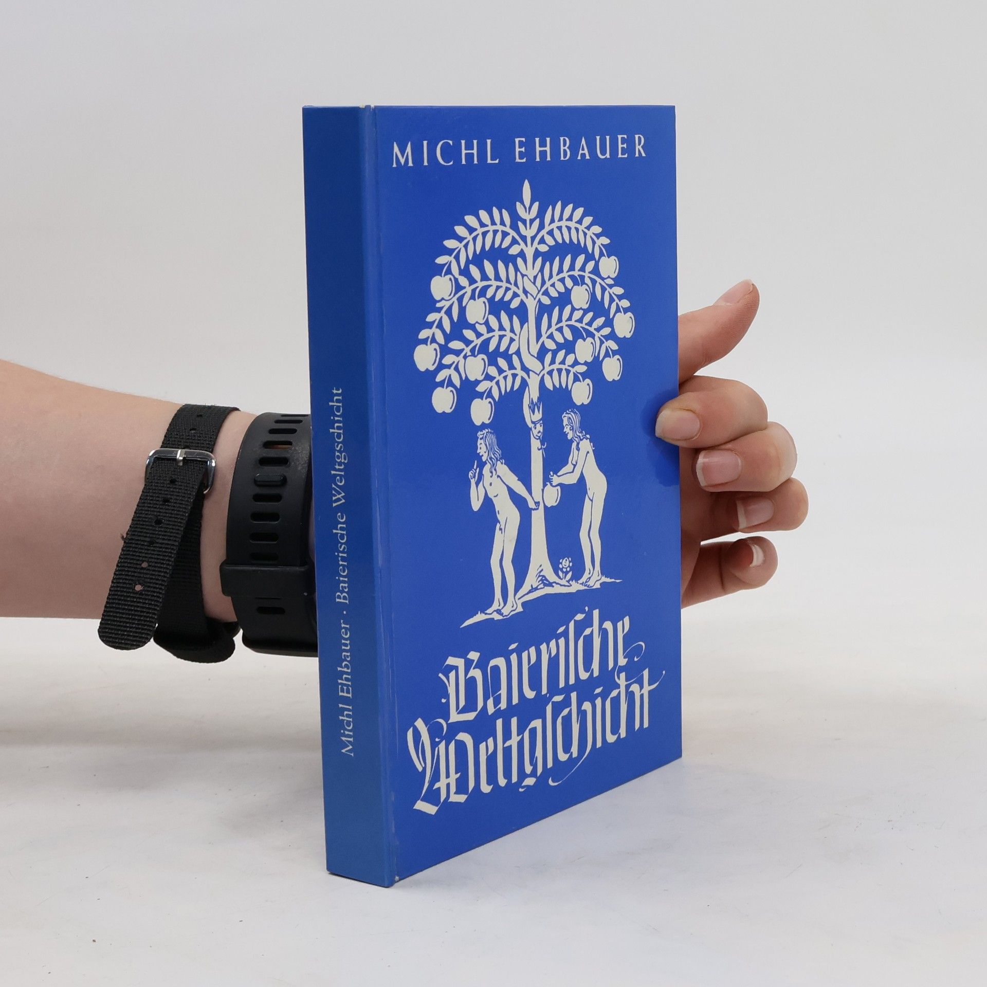 Michl Ehbauer Die baierische Weltgschicht
