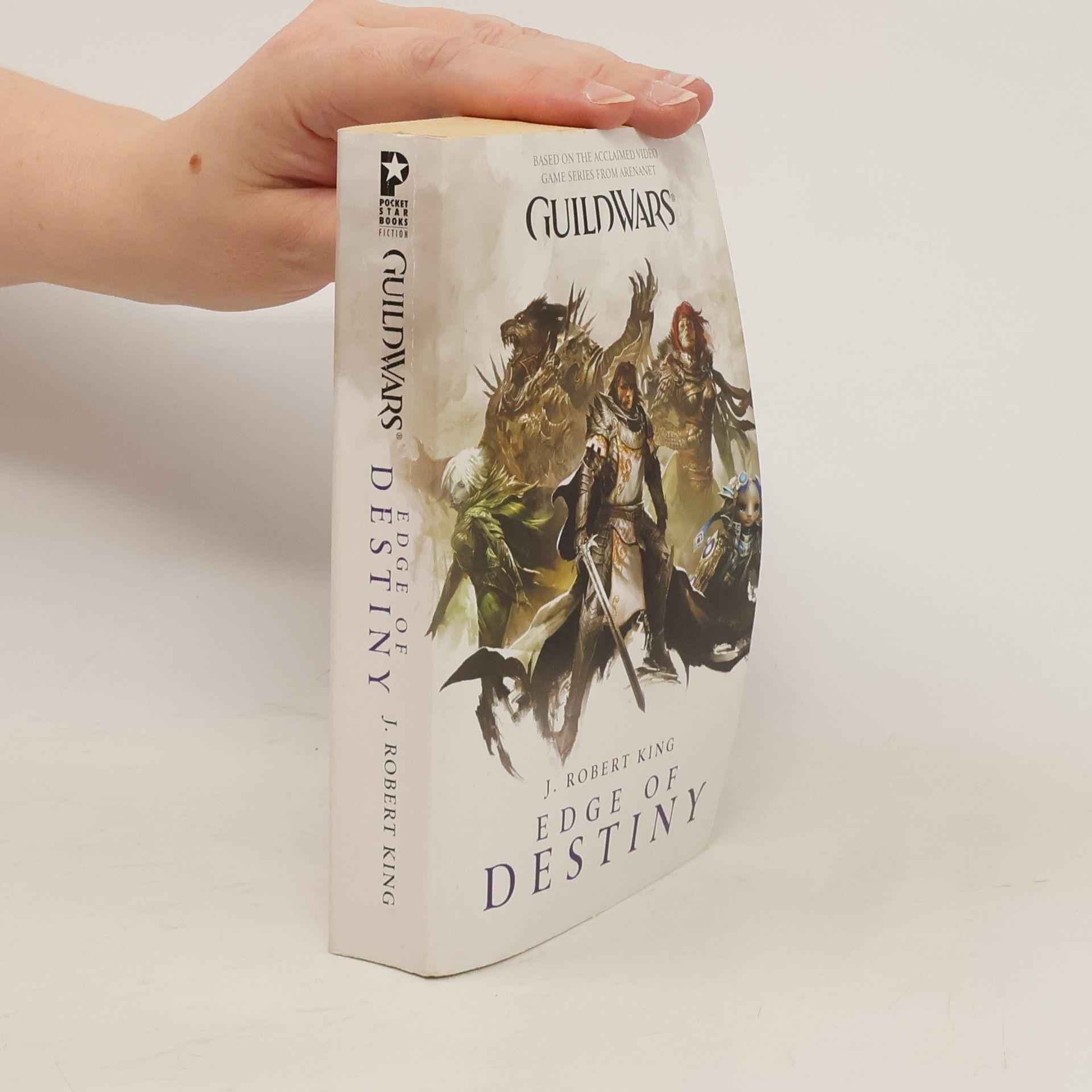 Robert J. King Guild Wars: Edge of Destiny