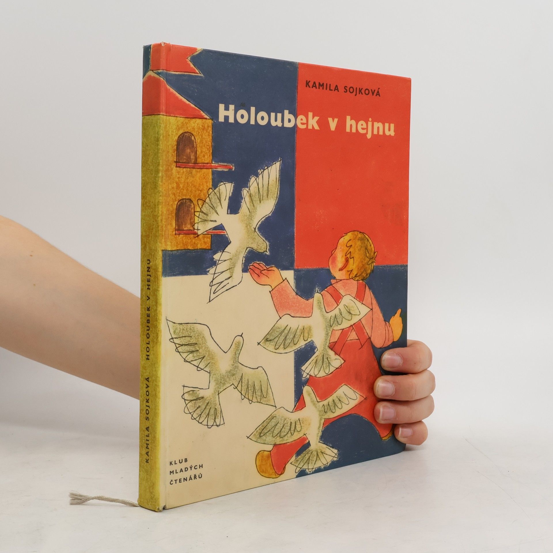 Kamila Sojková Holoubek v hejnu
