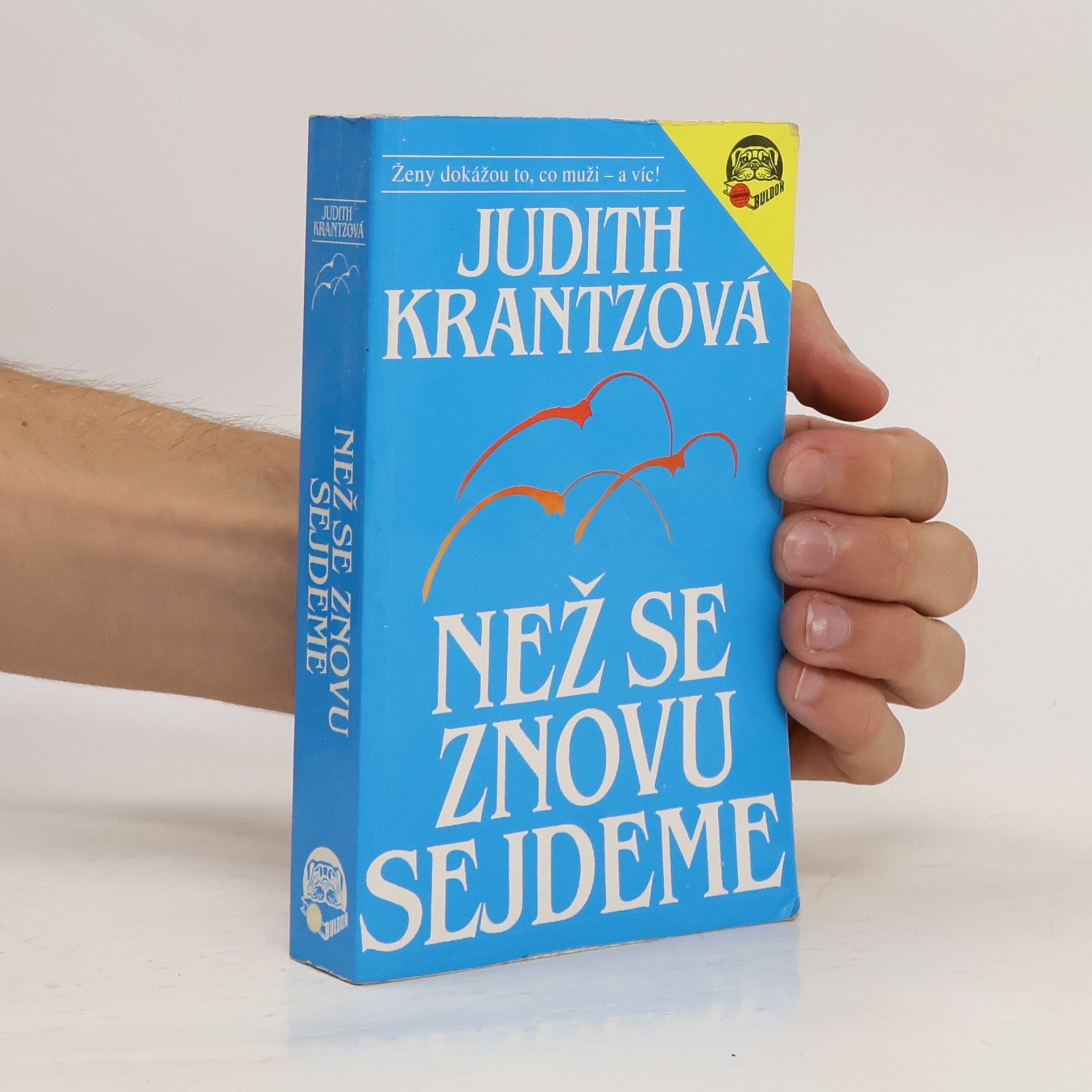 Judith Krantz Než se znovu sejdeme