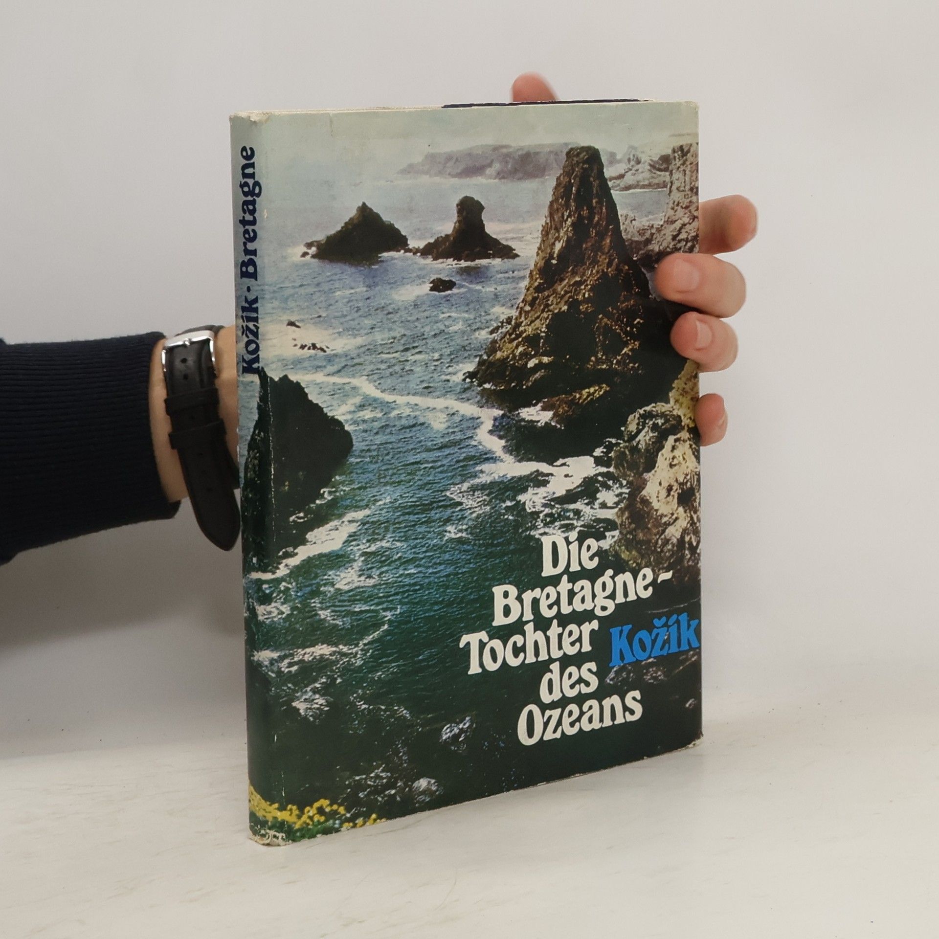 František Kožík Die Bretagne - Tochter des Ozeans